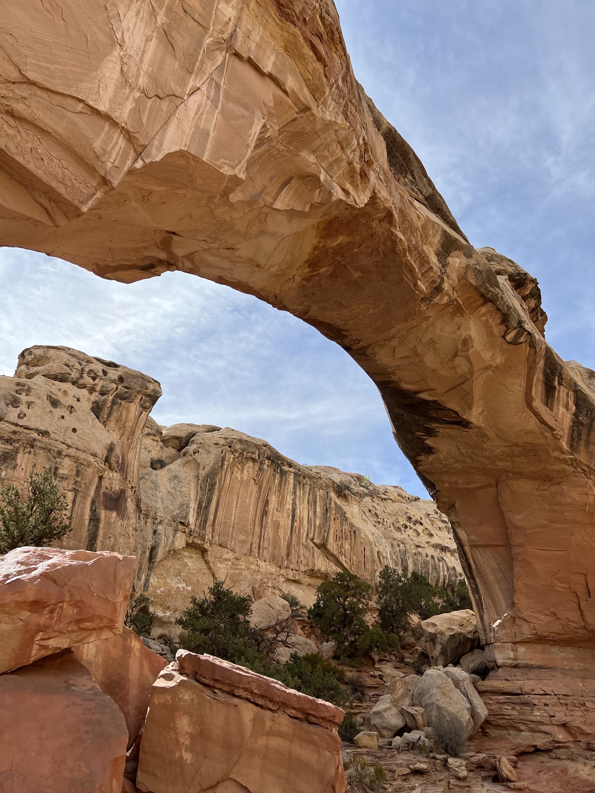 Hickman Bridge trail