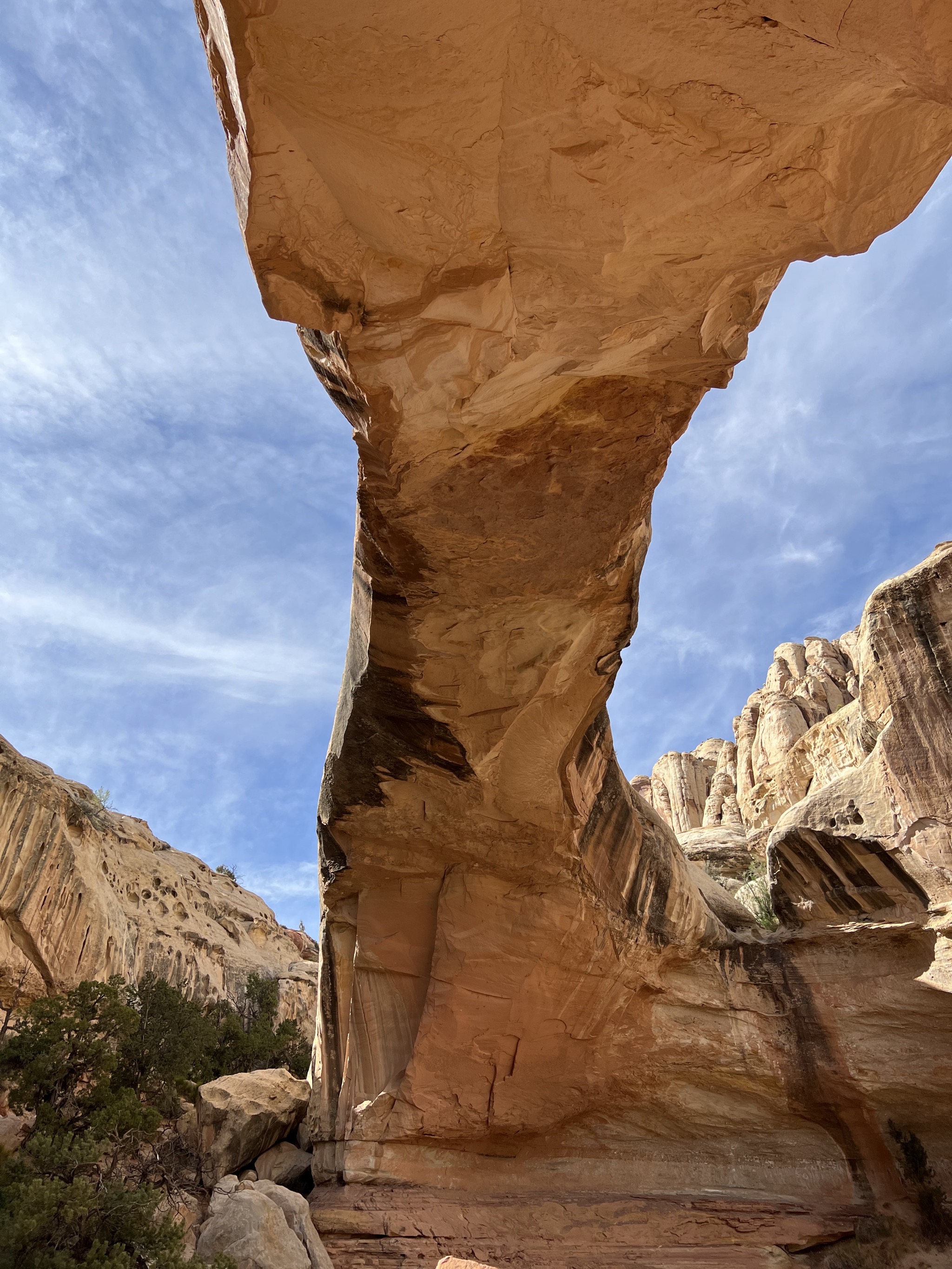 Hickman Bridge trail