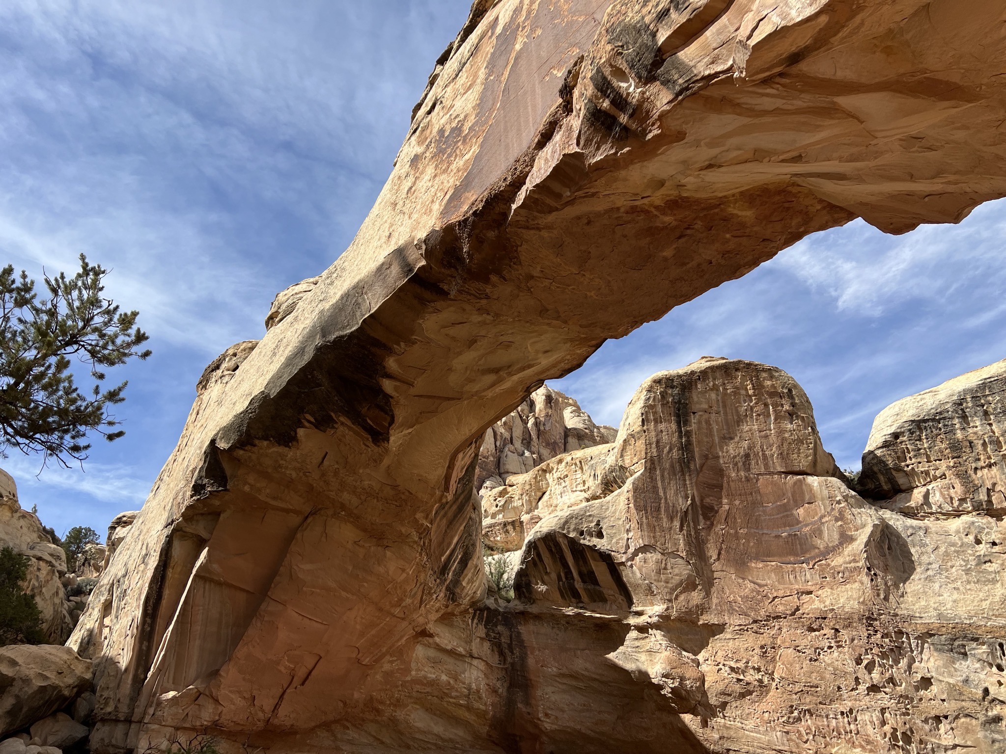 Hickman Bridge trail