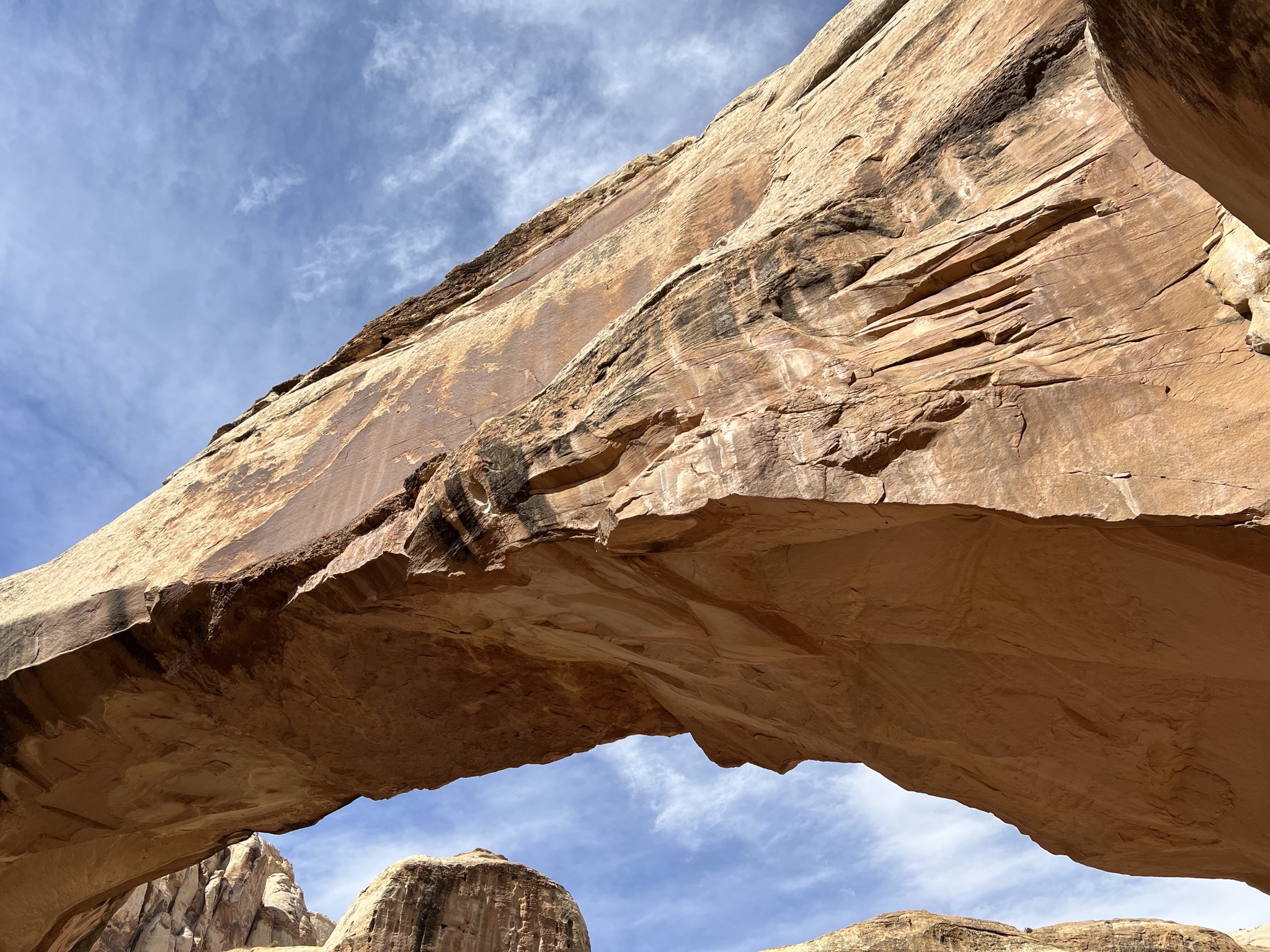 Hickman Bridge trail