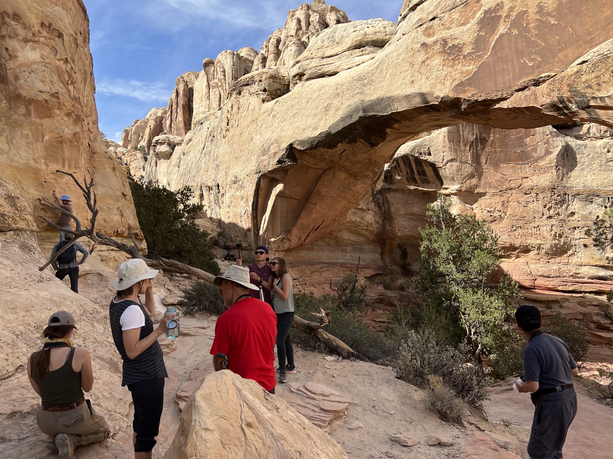 Hickman Bridge trail