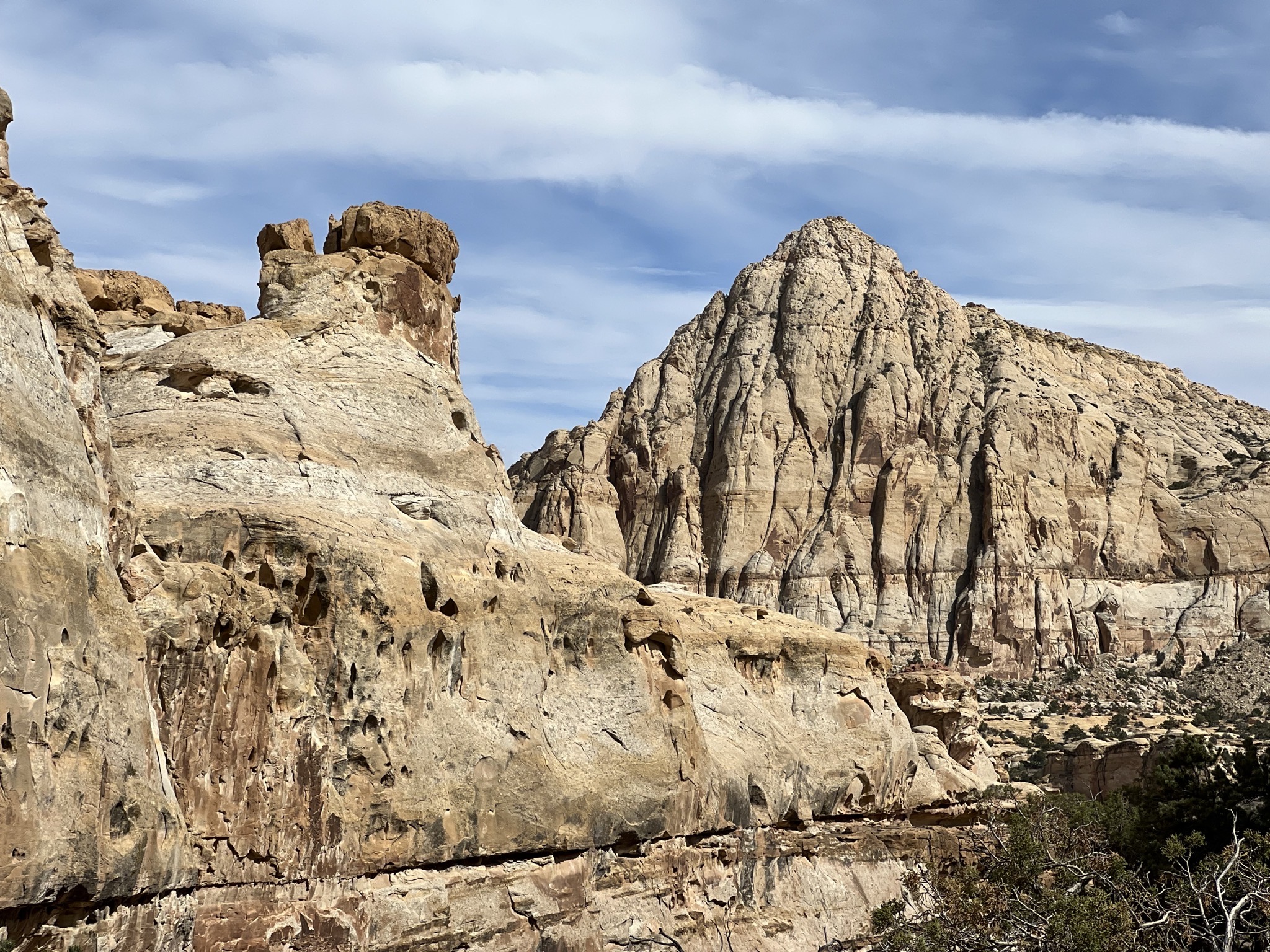 Hickman Bridge trail