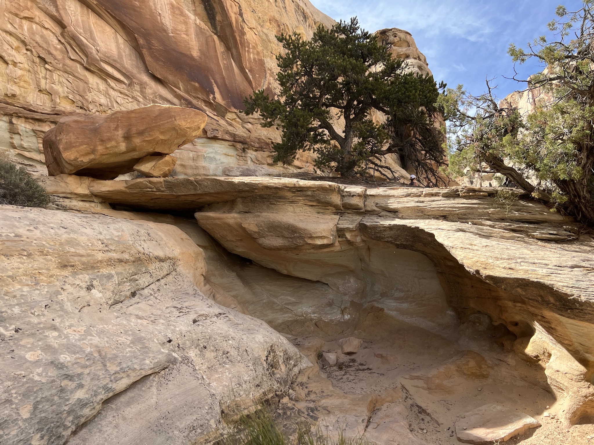 Hickman Bridge trail