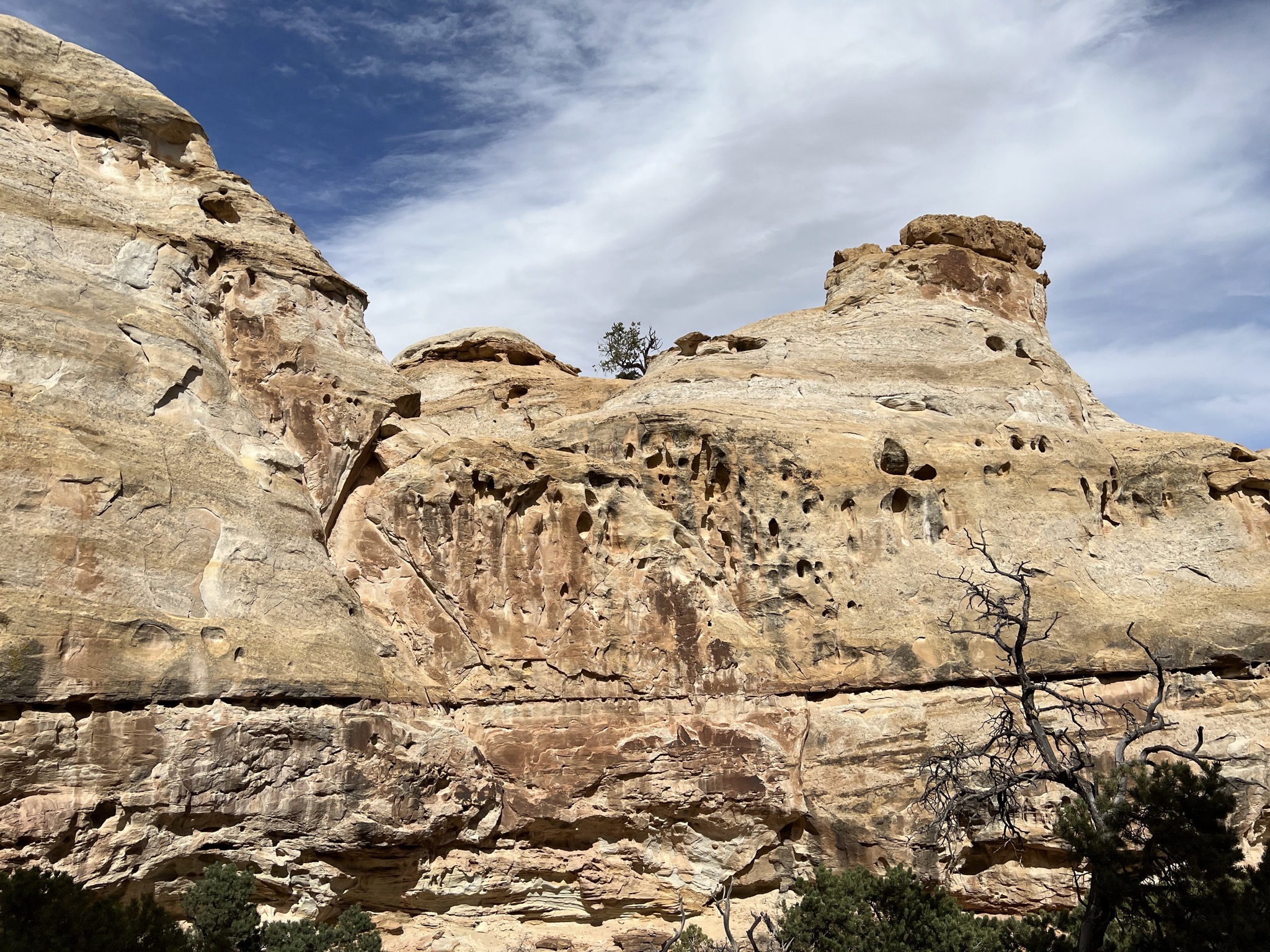 Hickman Bridge trail