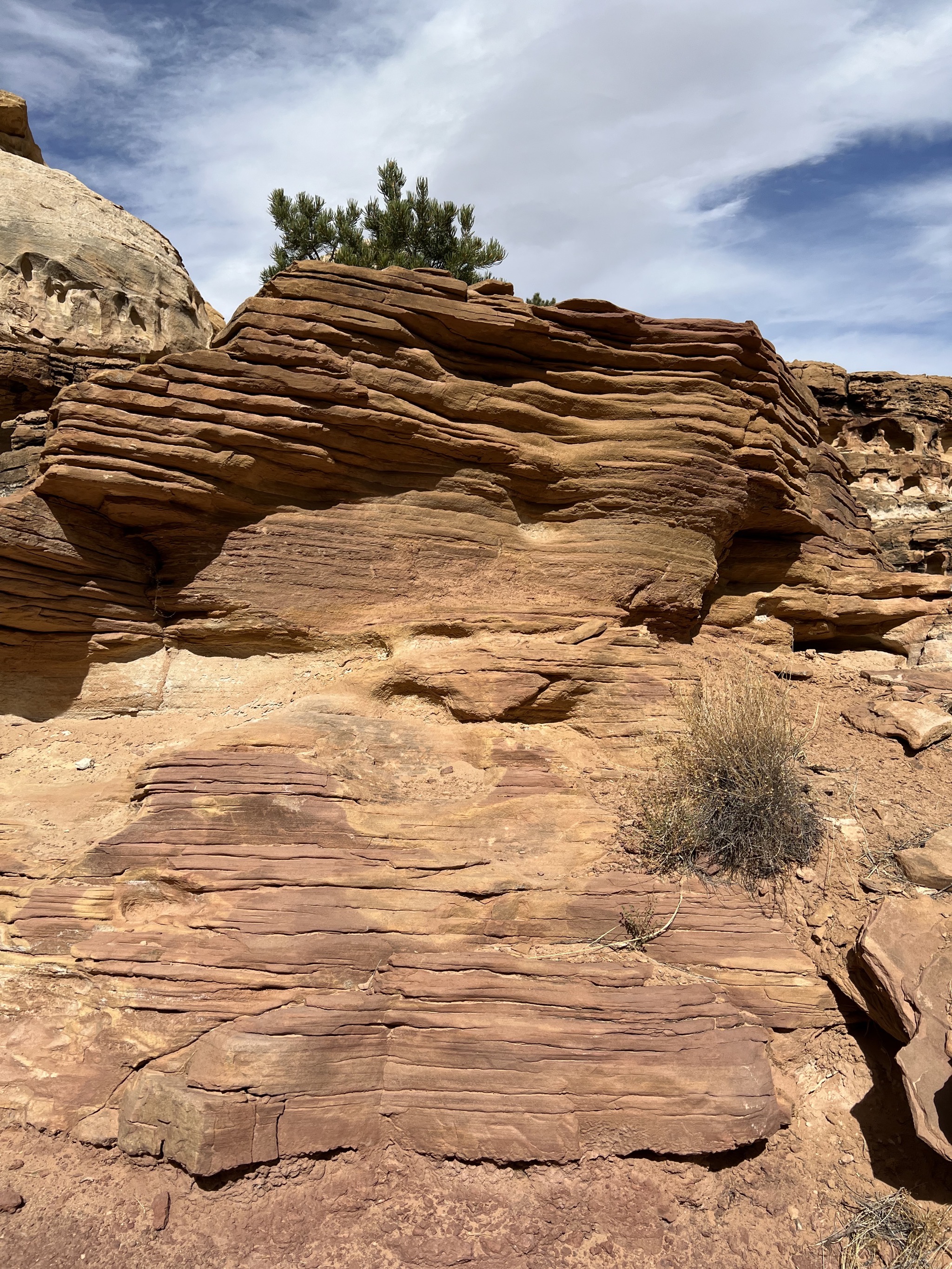 Hickman Bridge trail