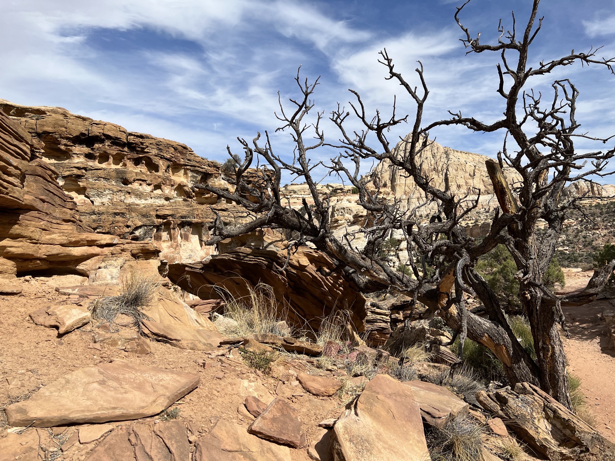 Hickman Bridge trail