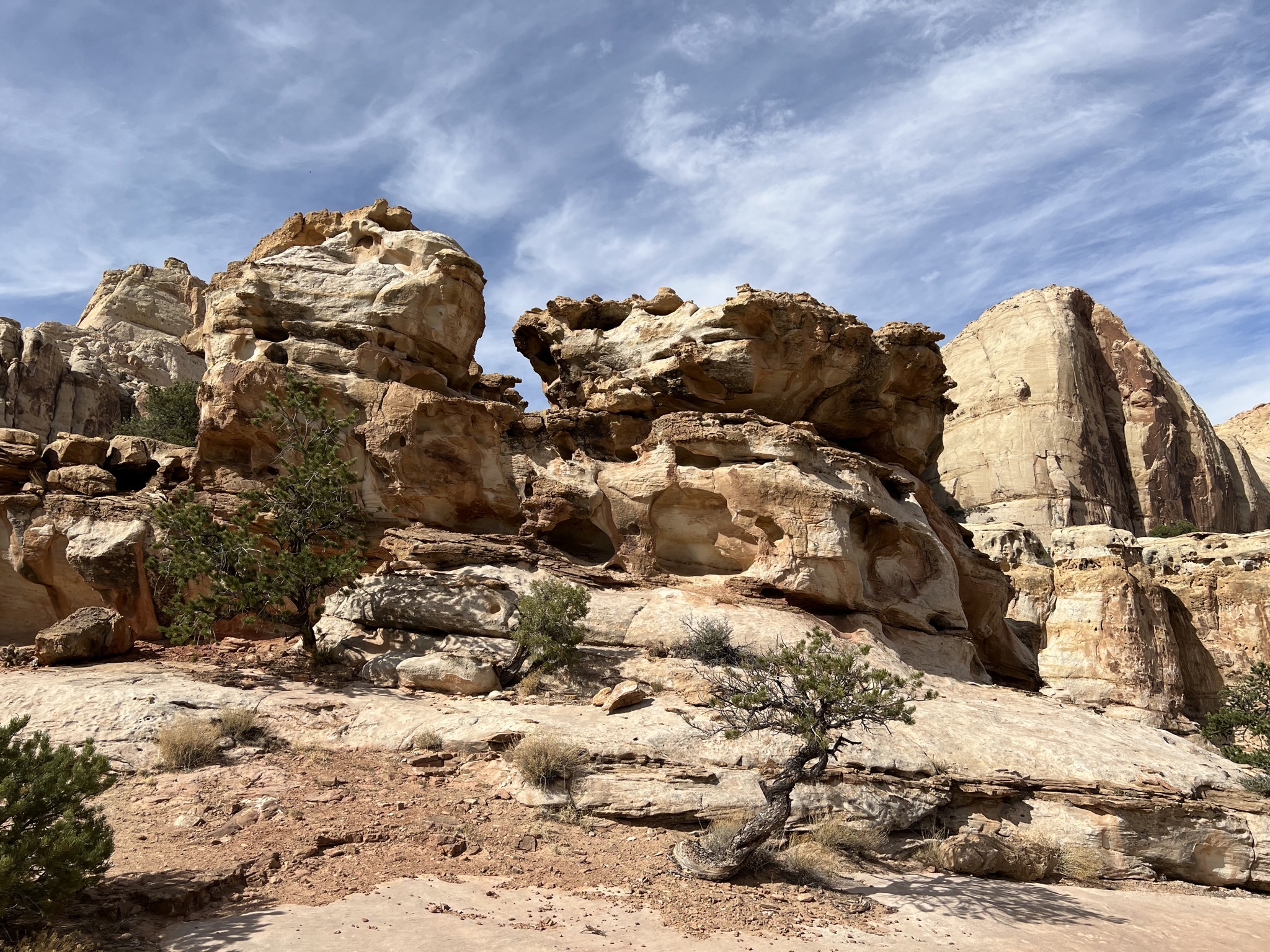 Hickman Bridge trail