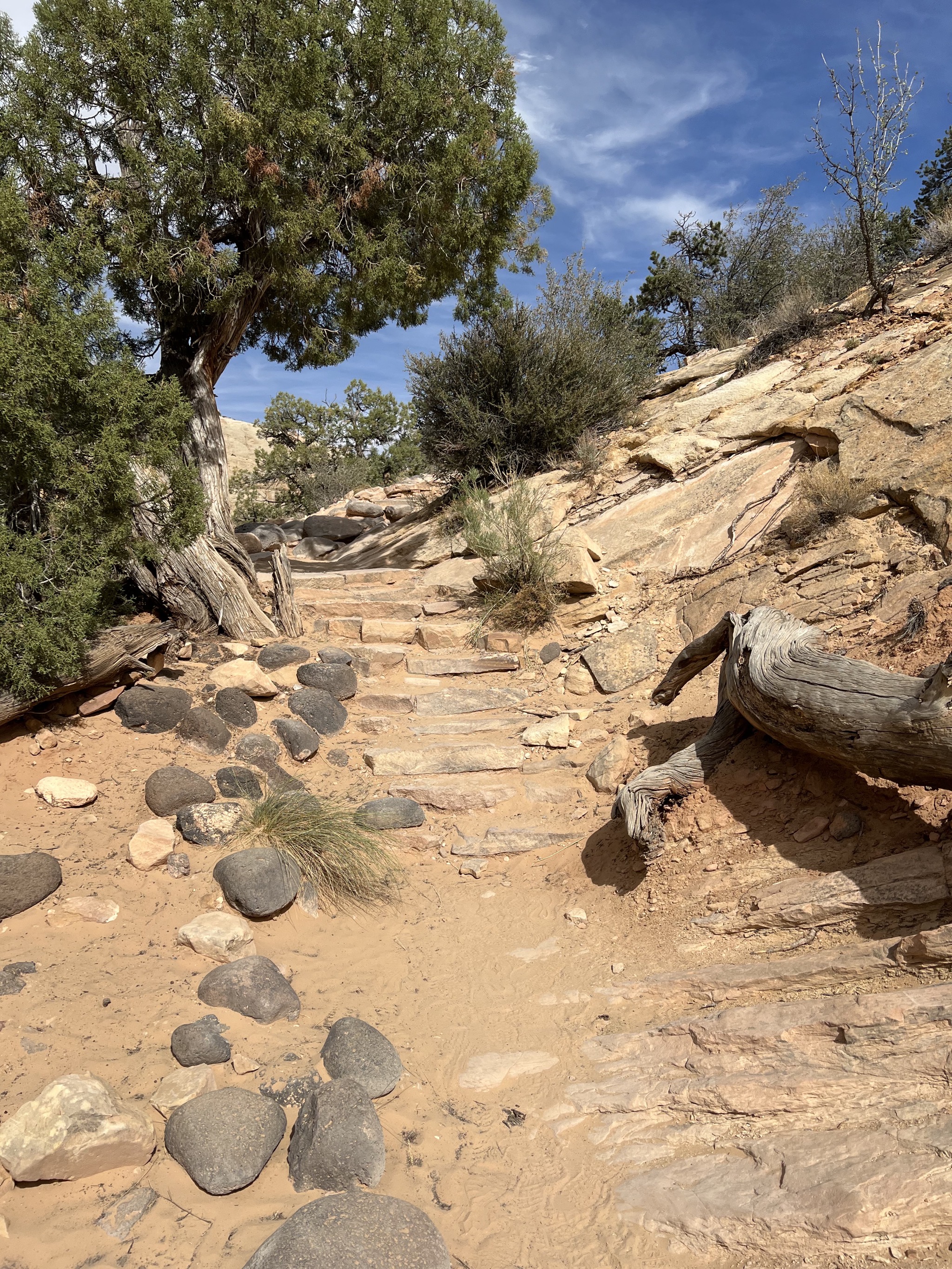 Hickman Bridge trail