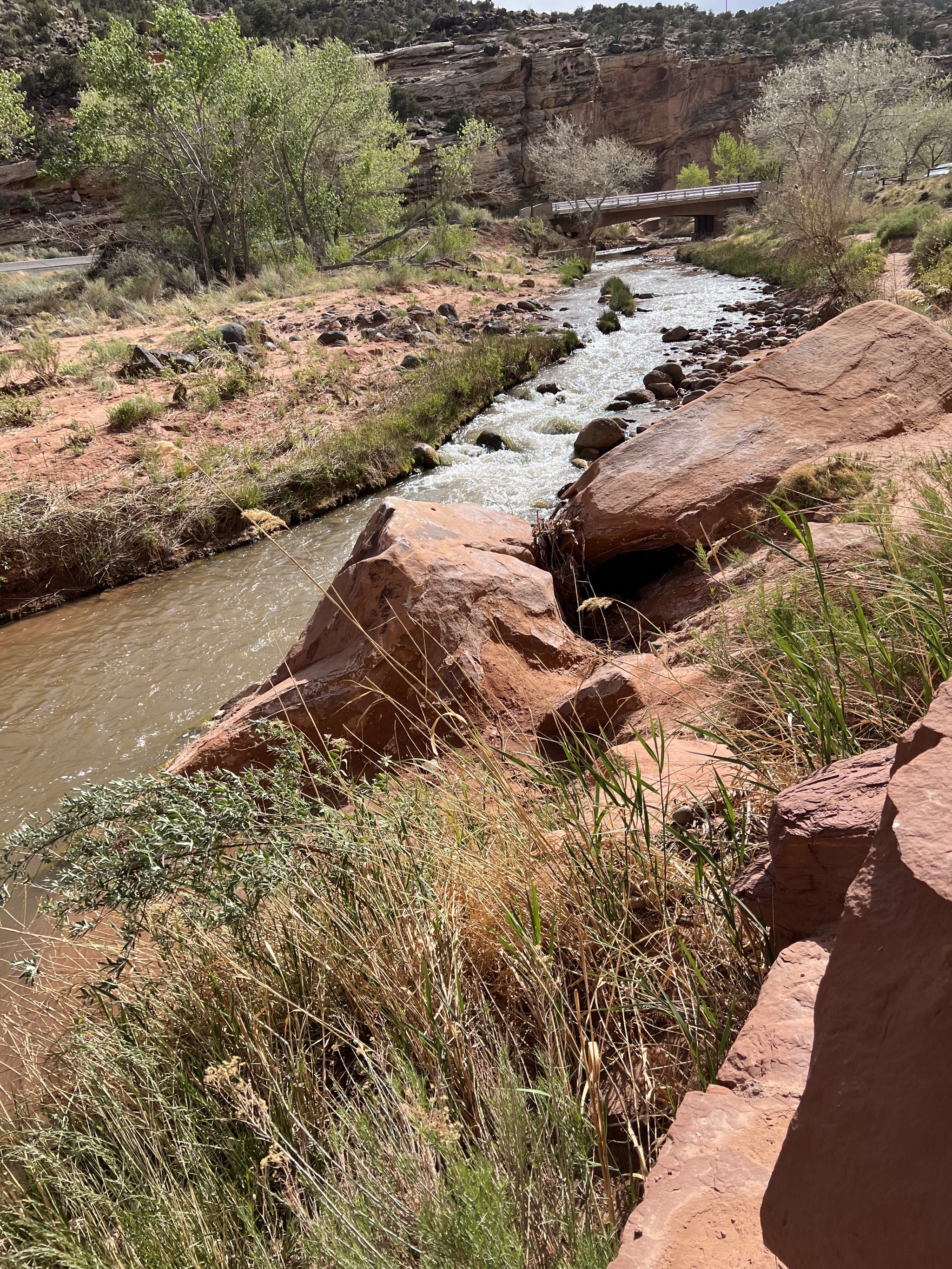 Hickman Bridge trail