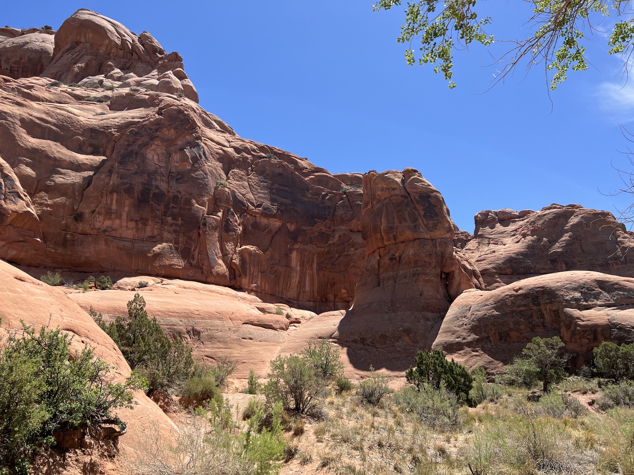 Rocks