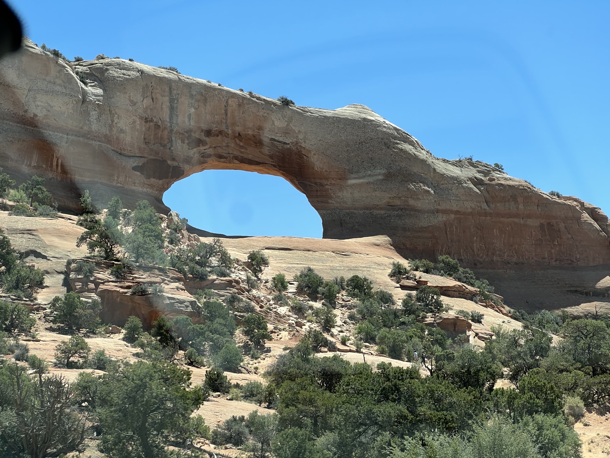 Arch