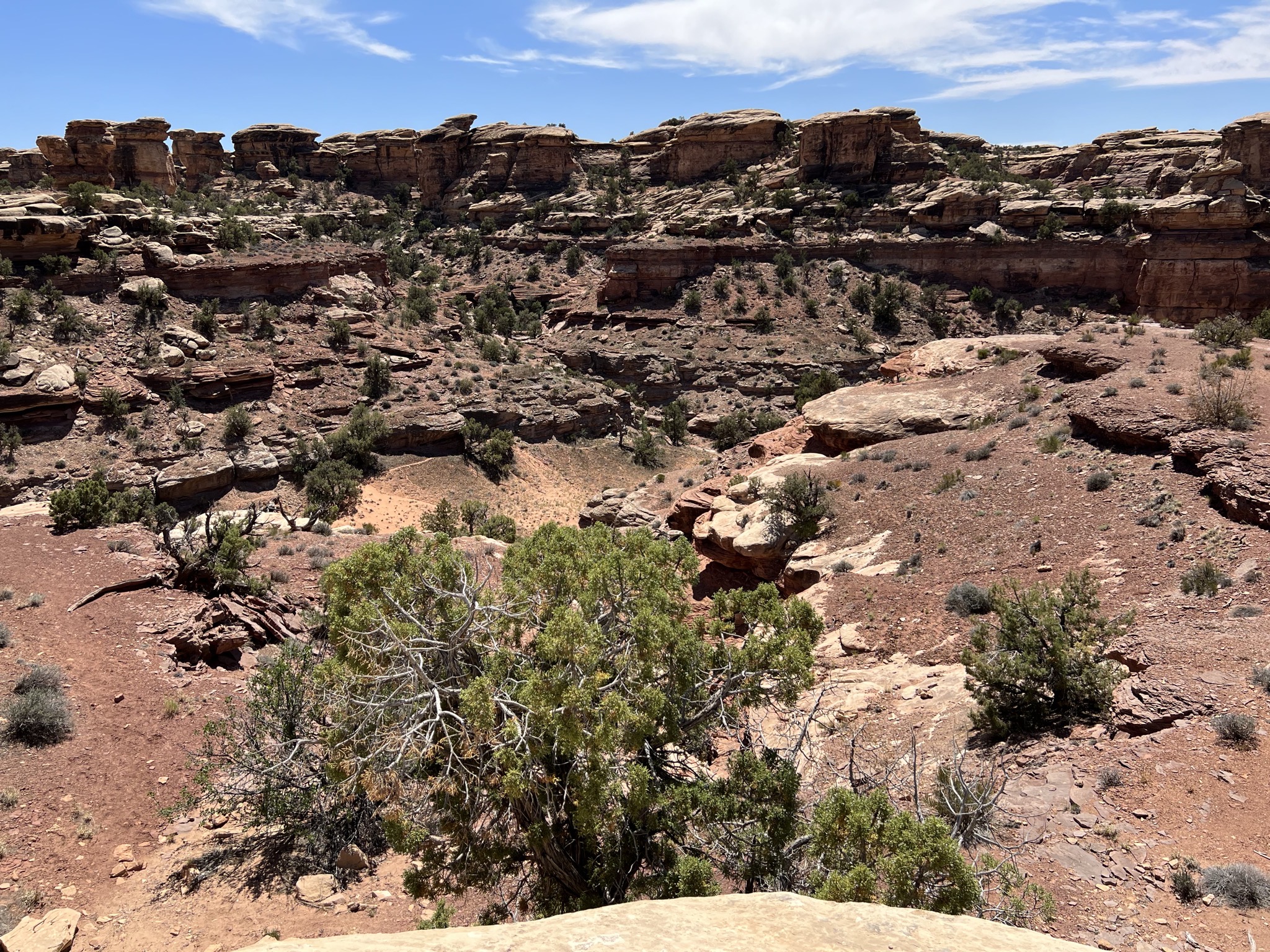 Rocks
