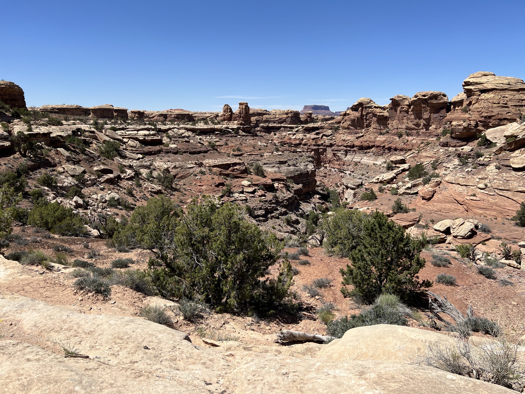 Rocks