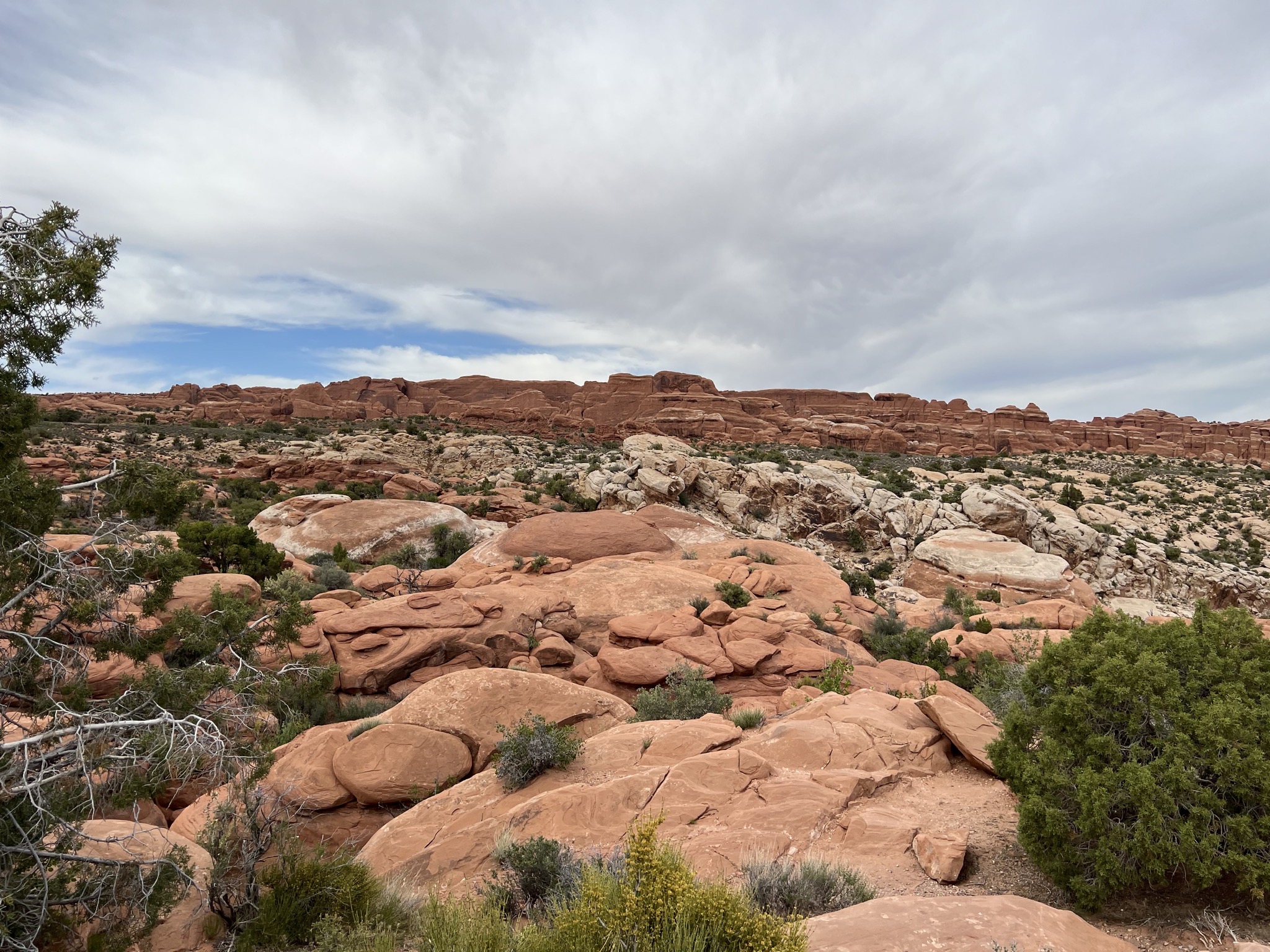 Rocks