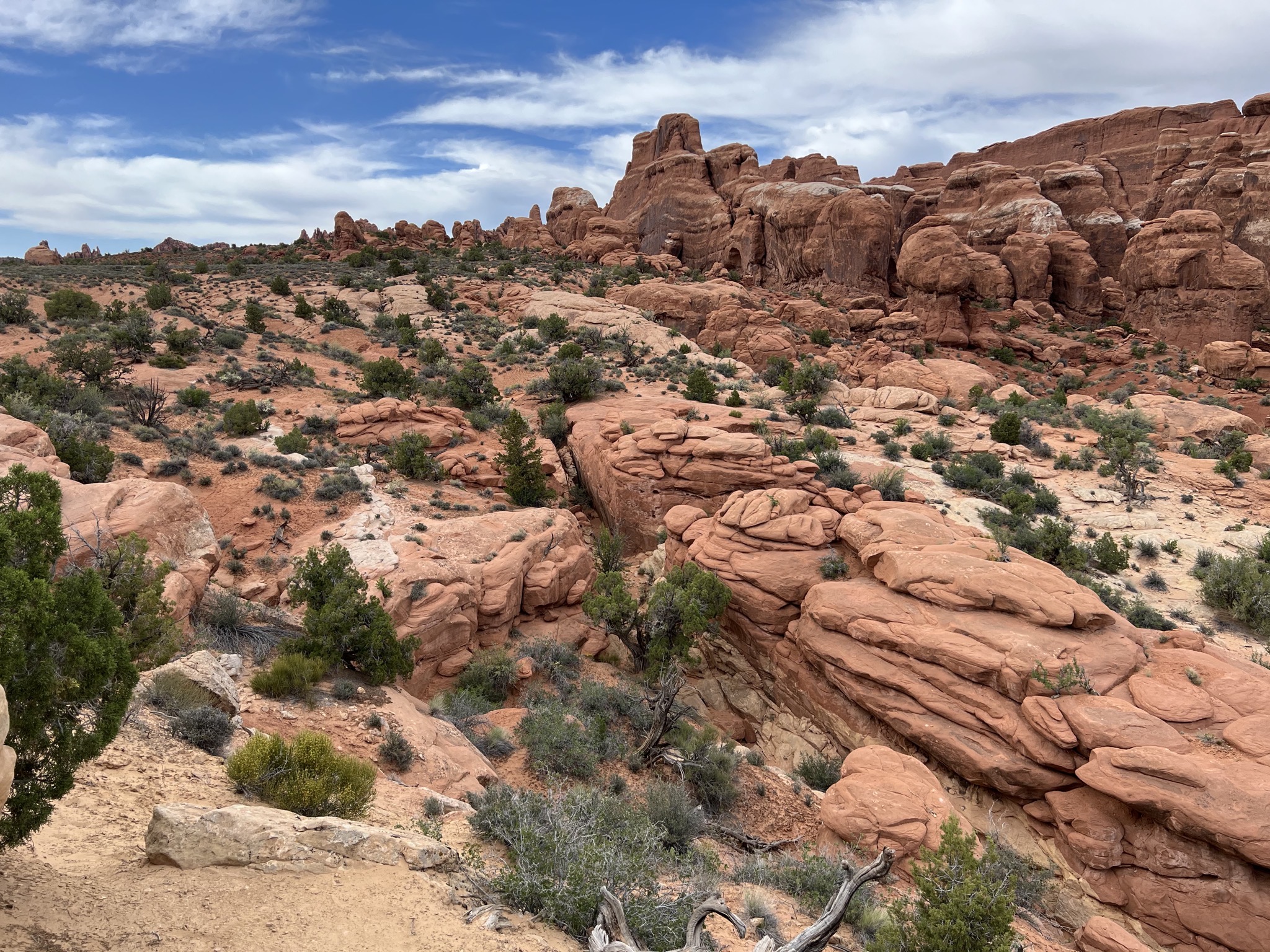 Rocks