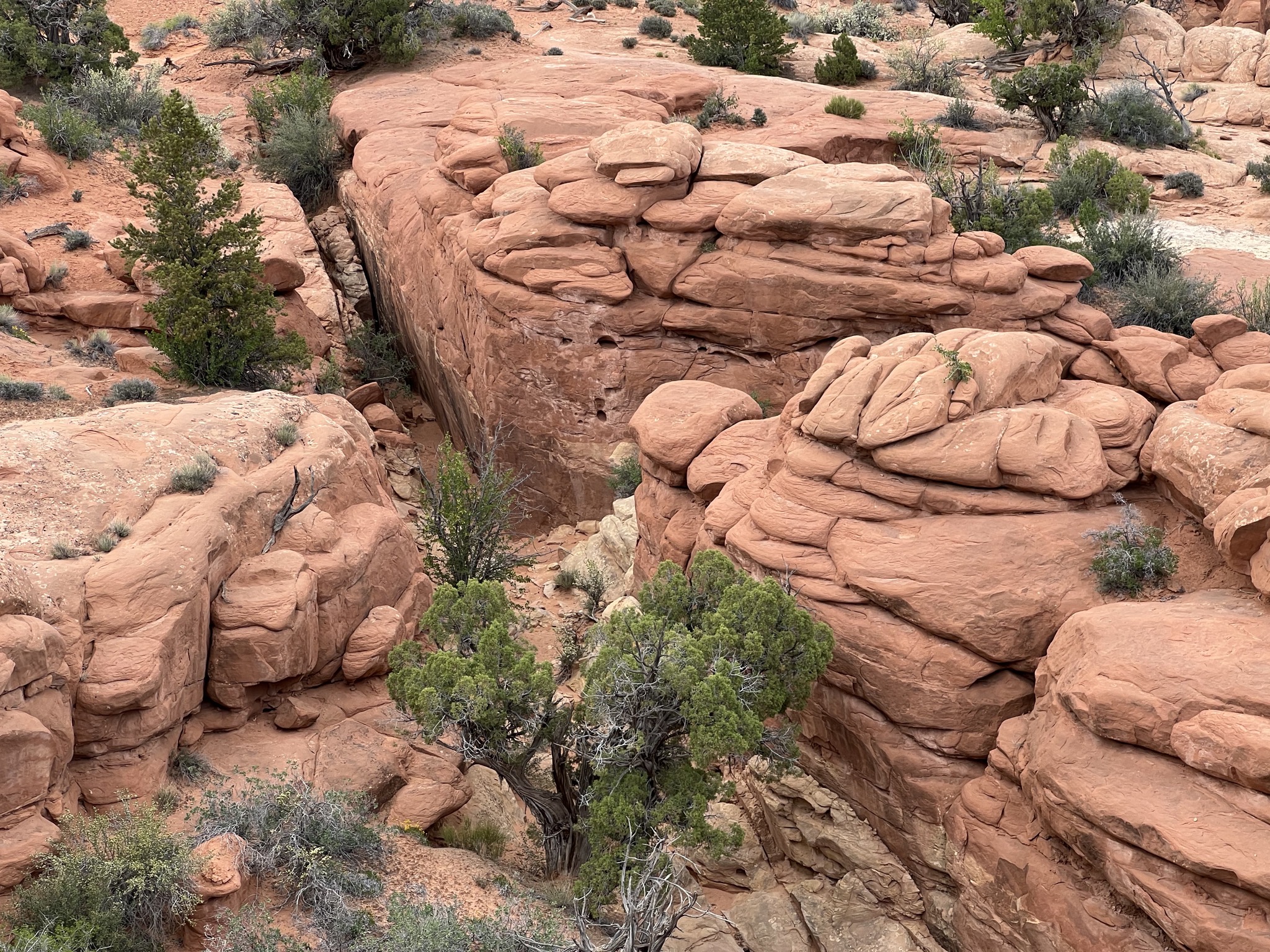 Rocks