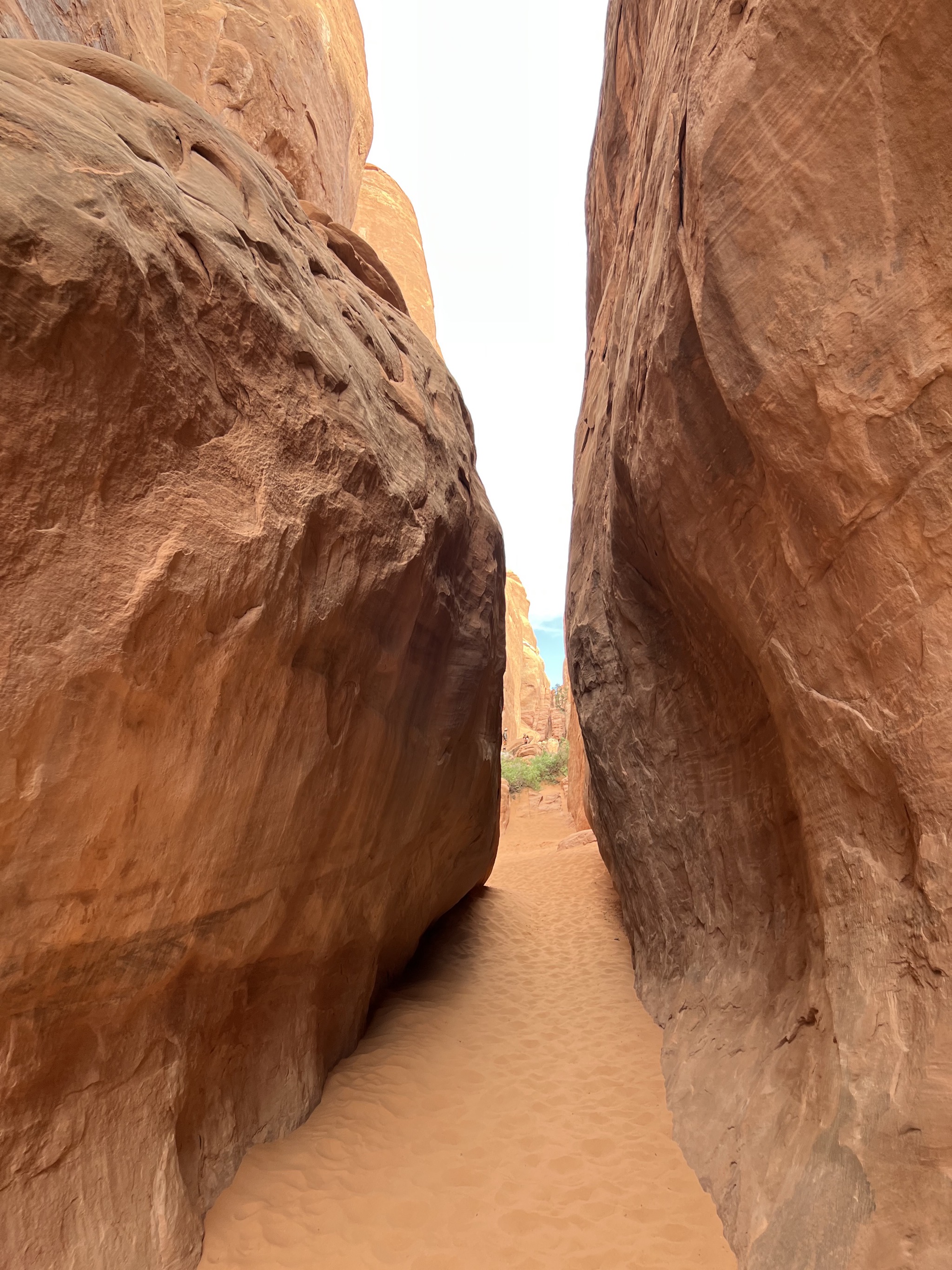 Rocks