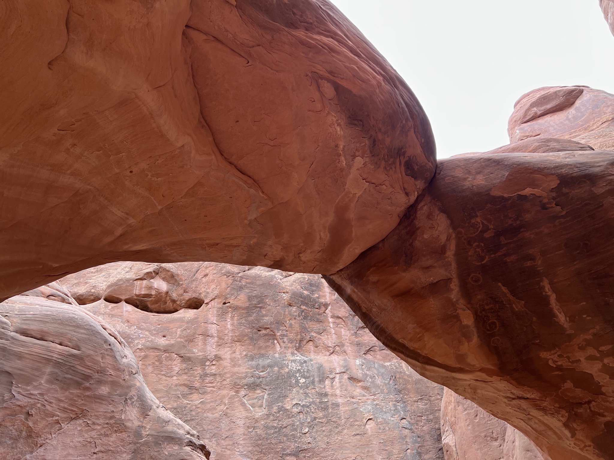 Arch
