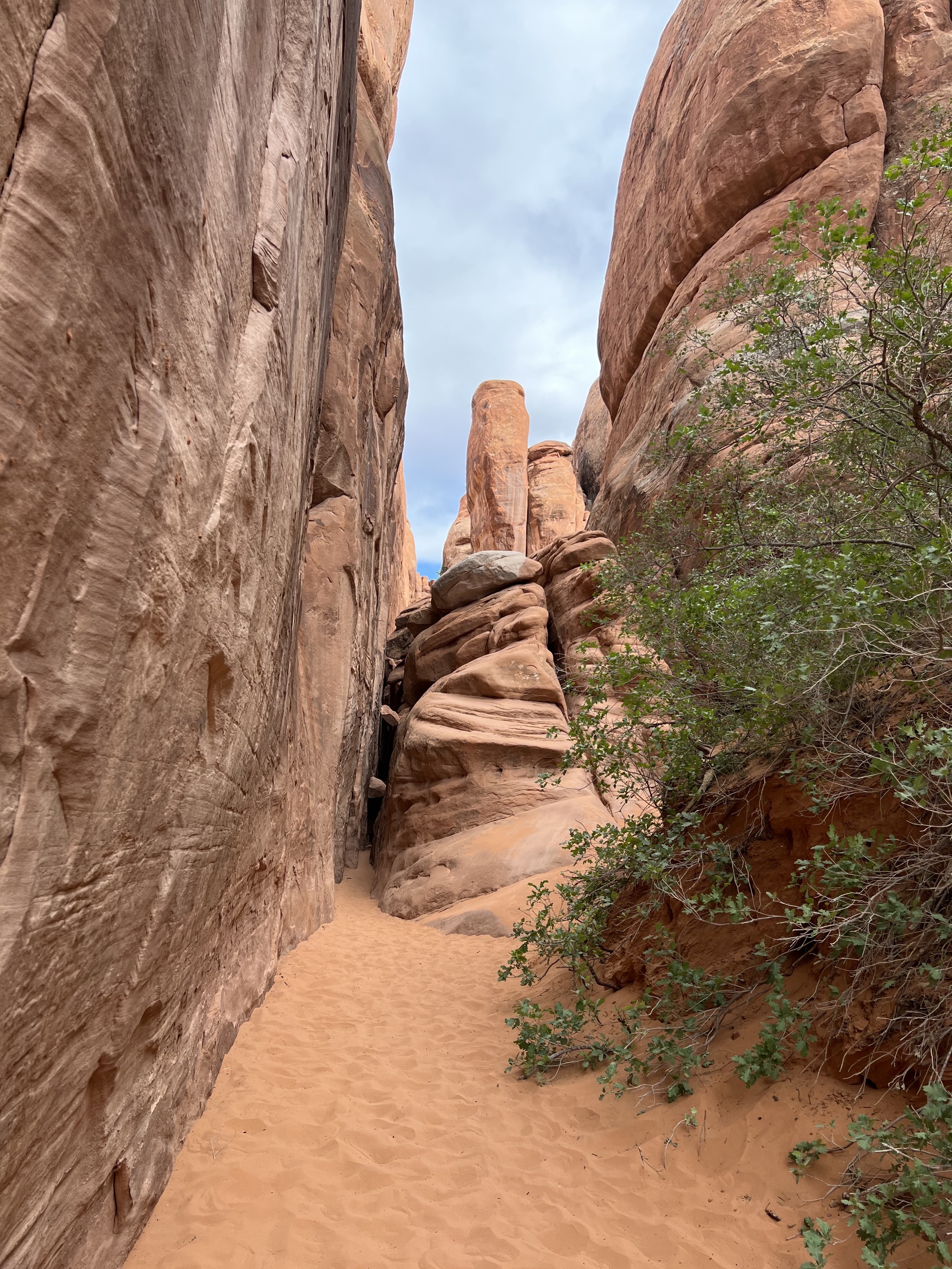 Rocks