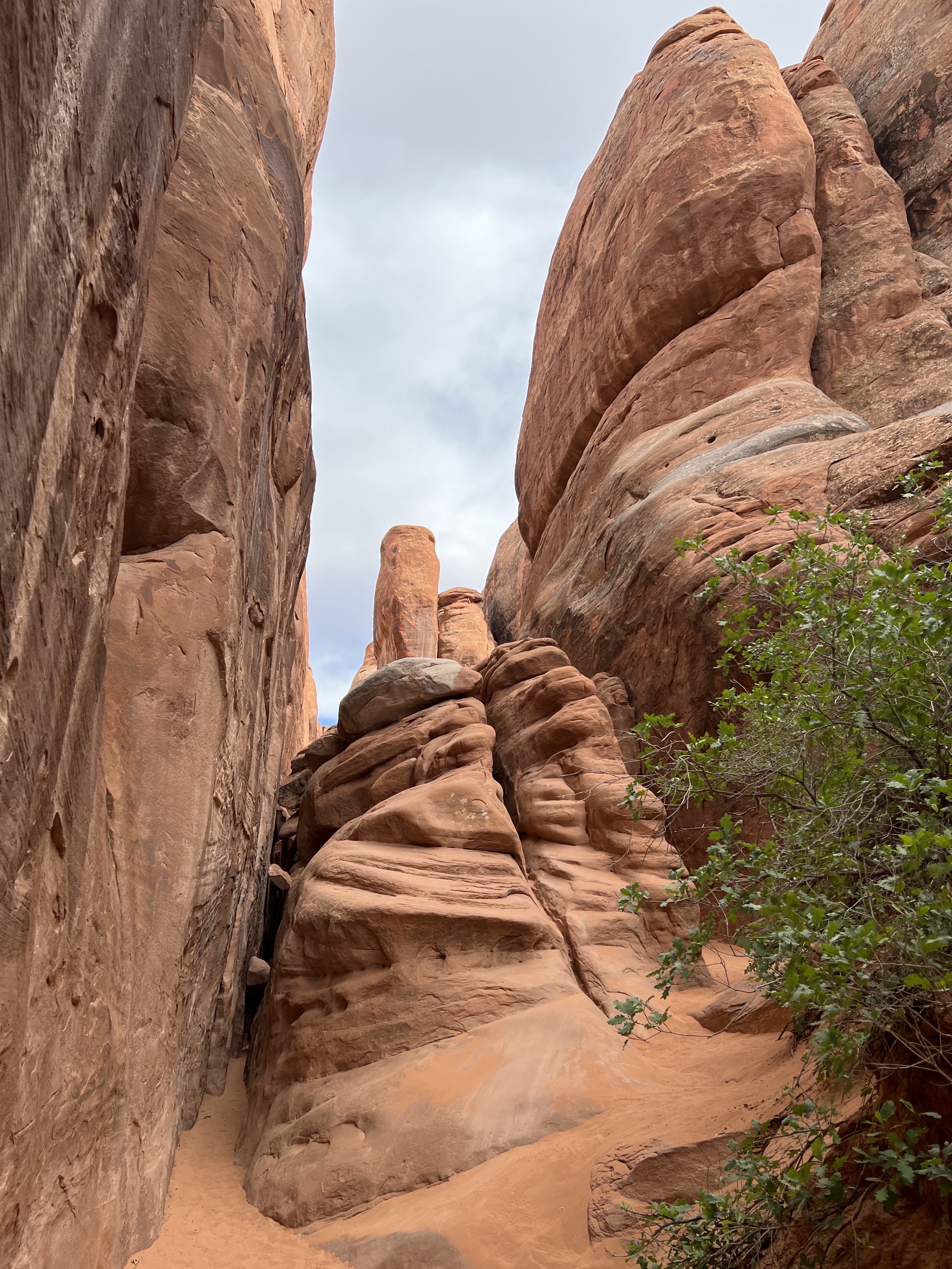Rocks