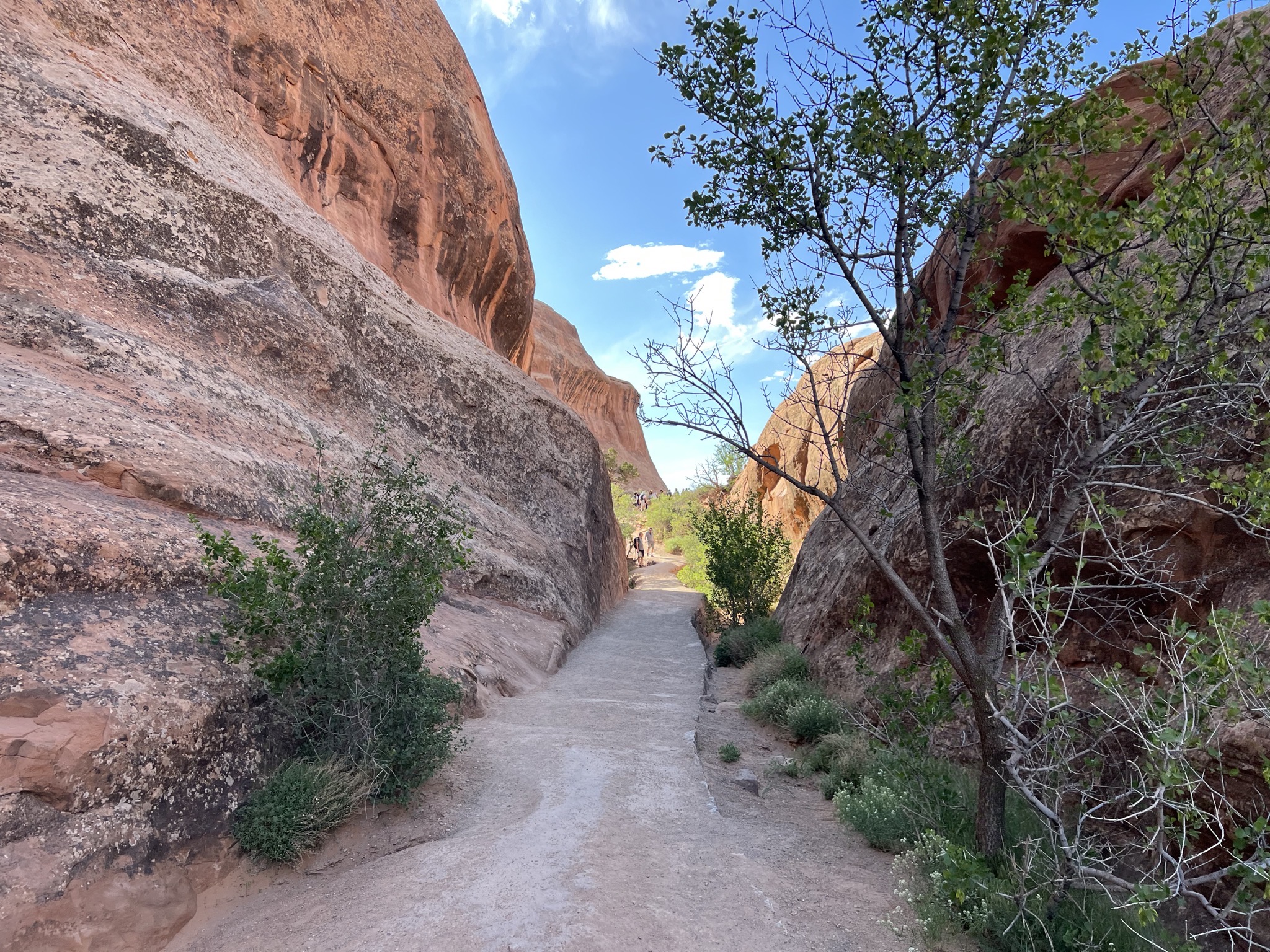 Path