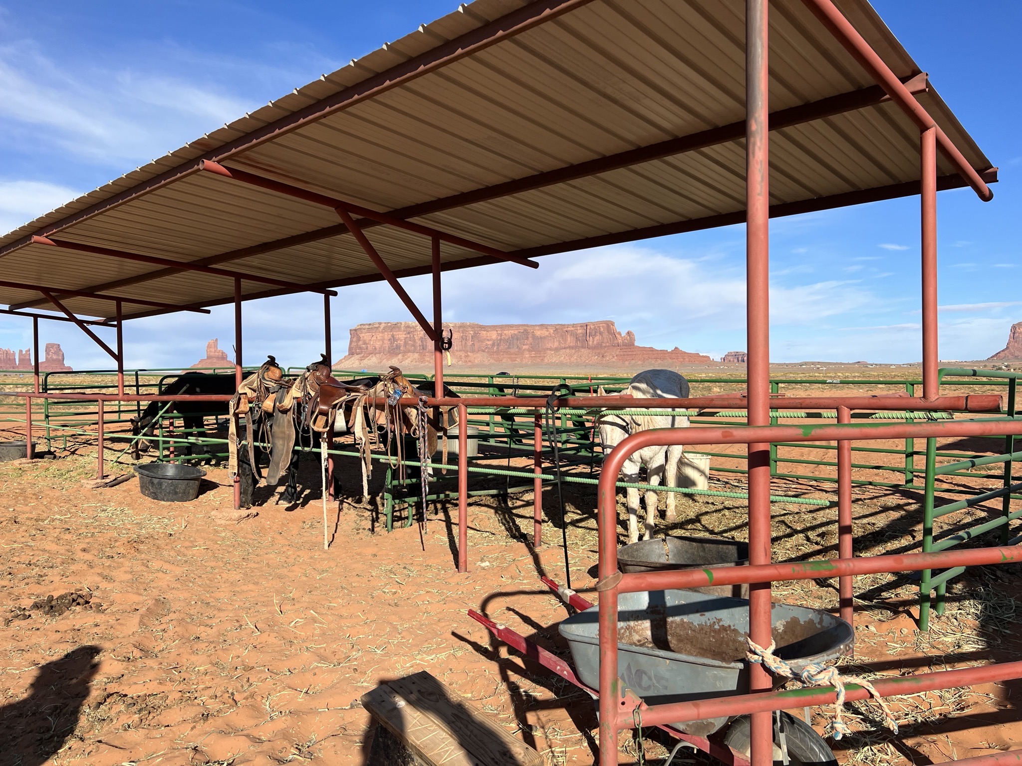 Horse tours