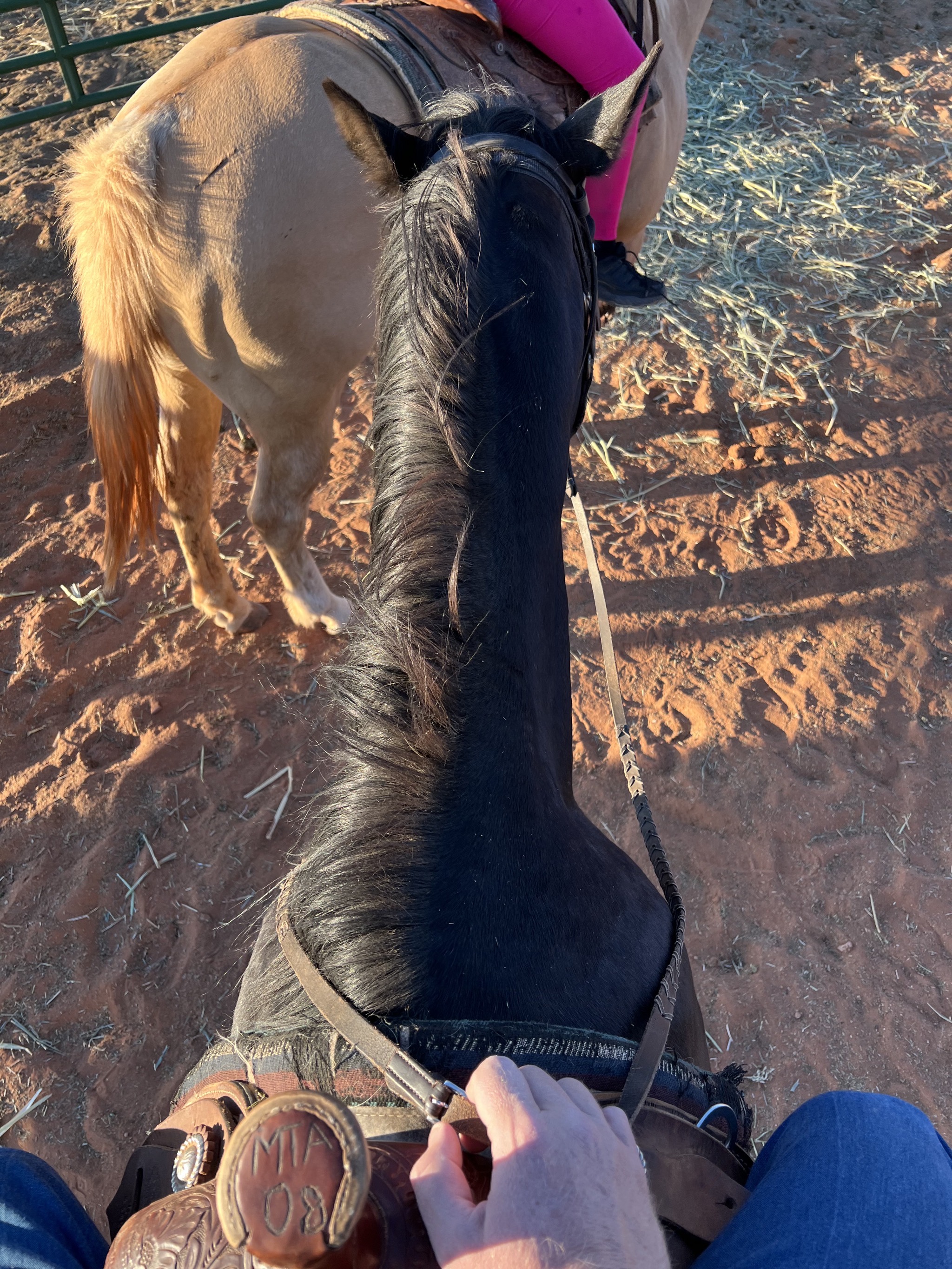 David on a horse