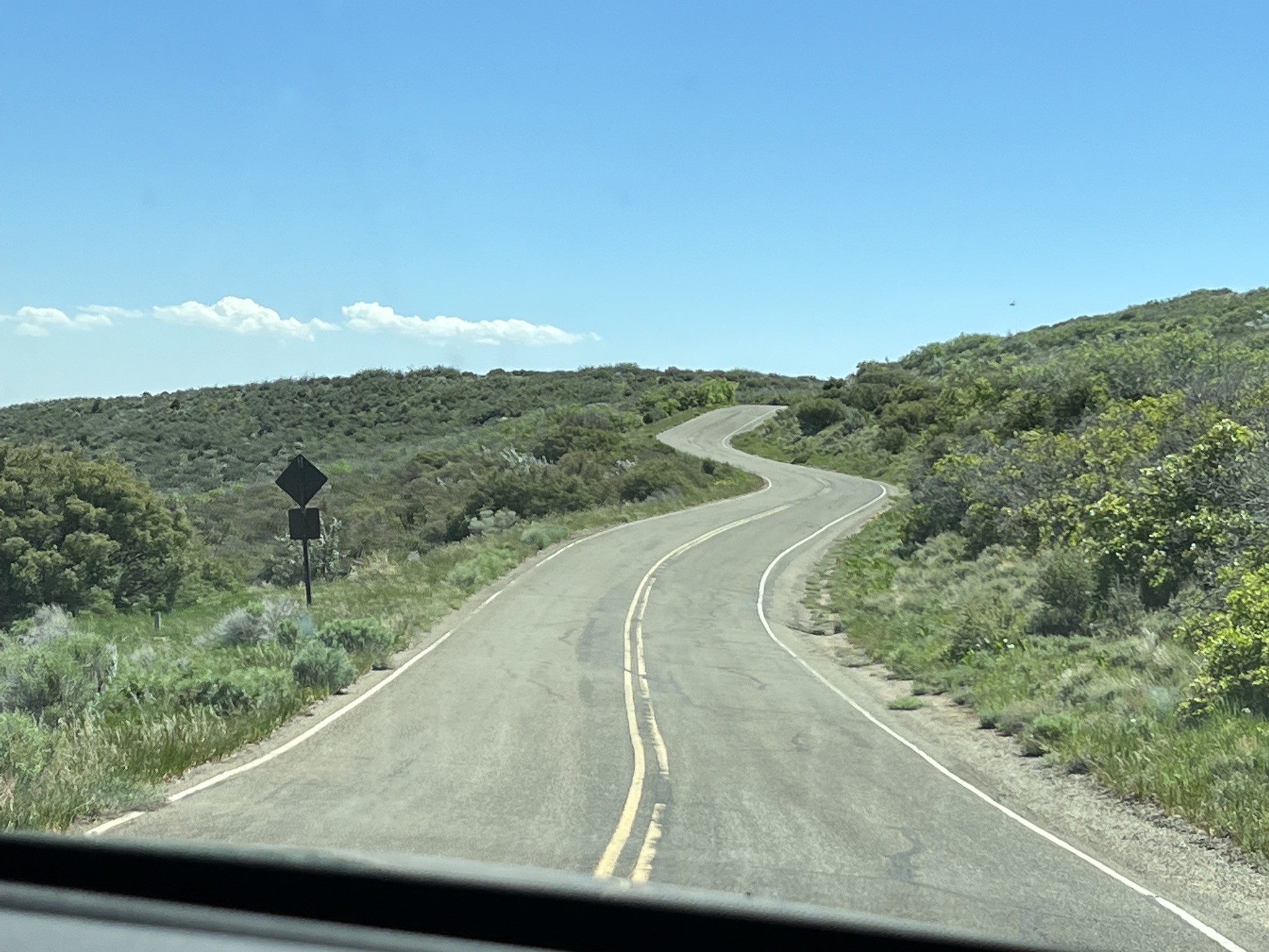 Curvy road