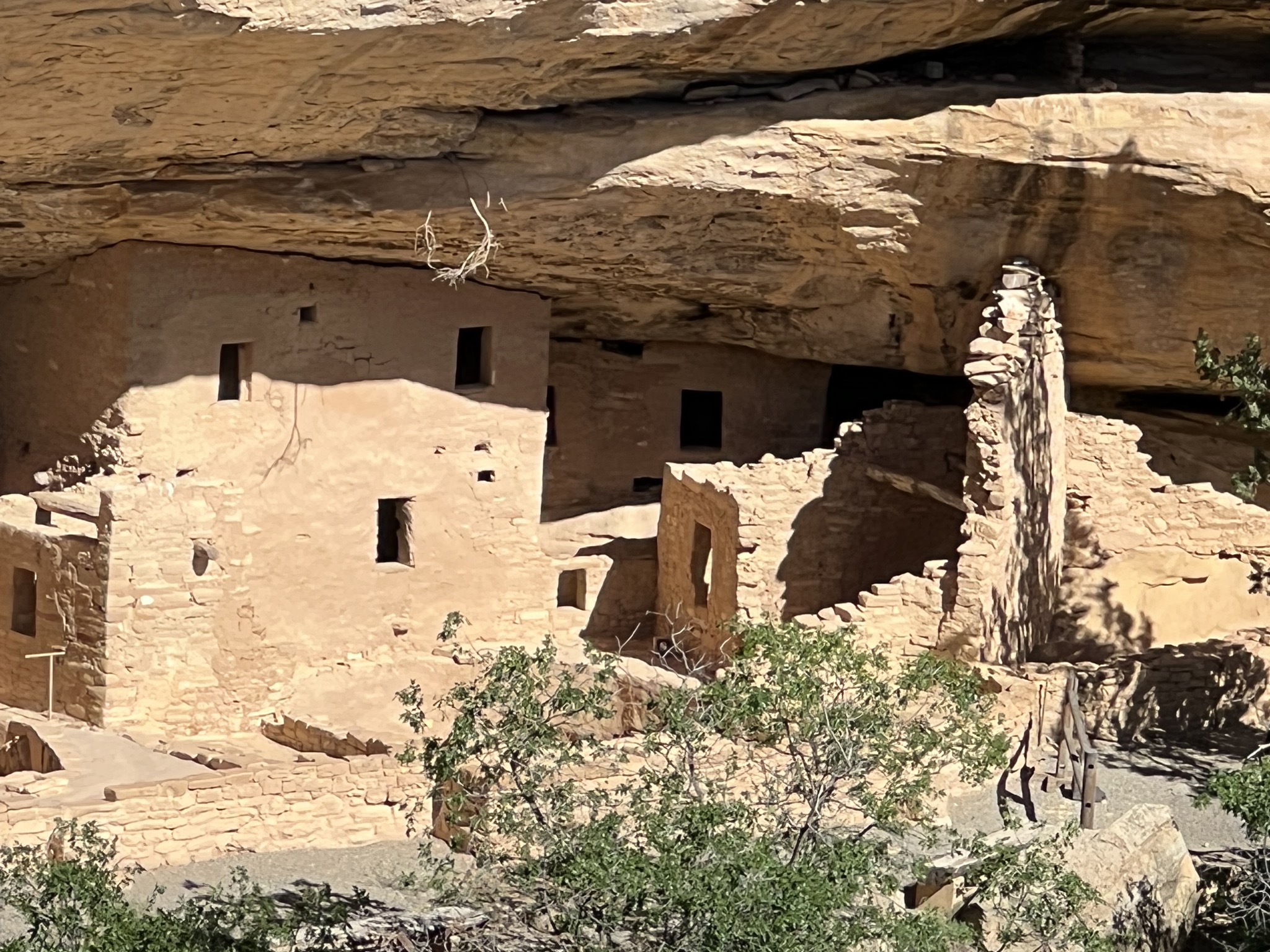 Spruce Tree House