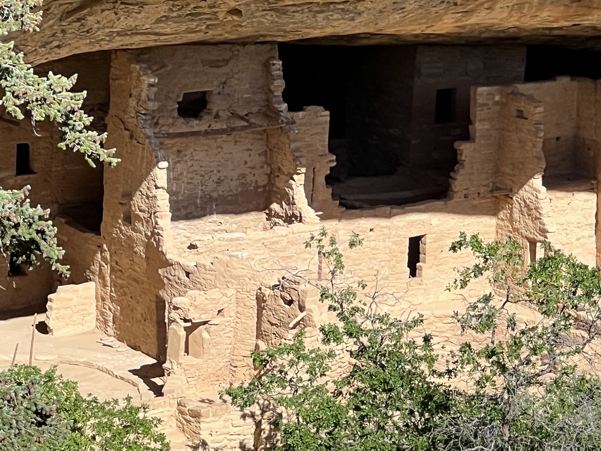 Spruce Tree House