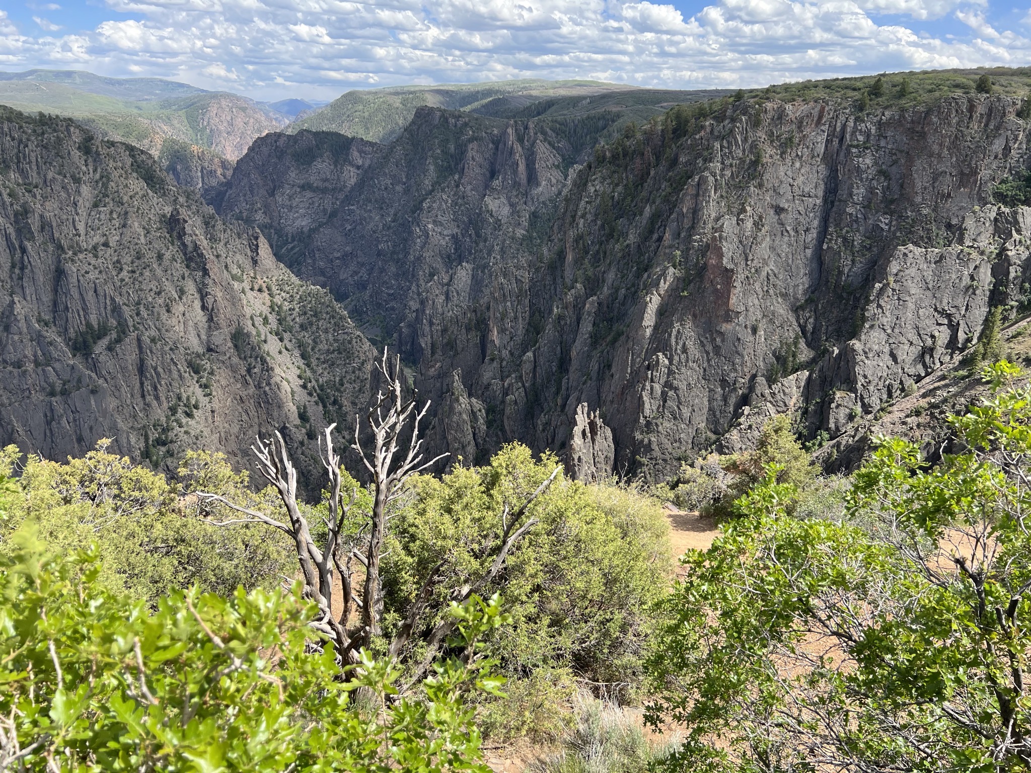 Canyon