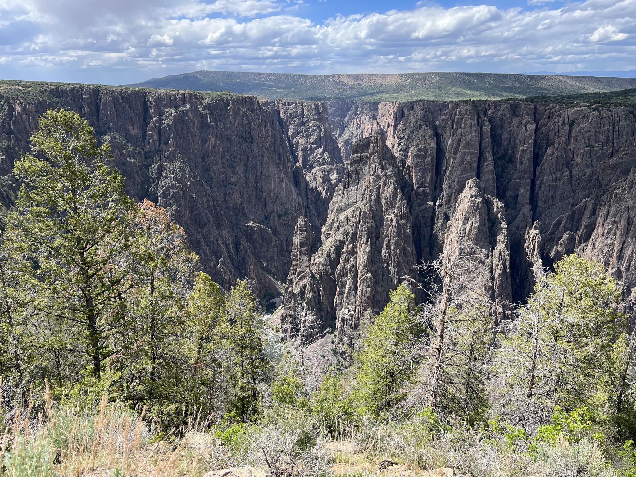 Canyon