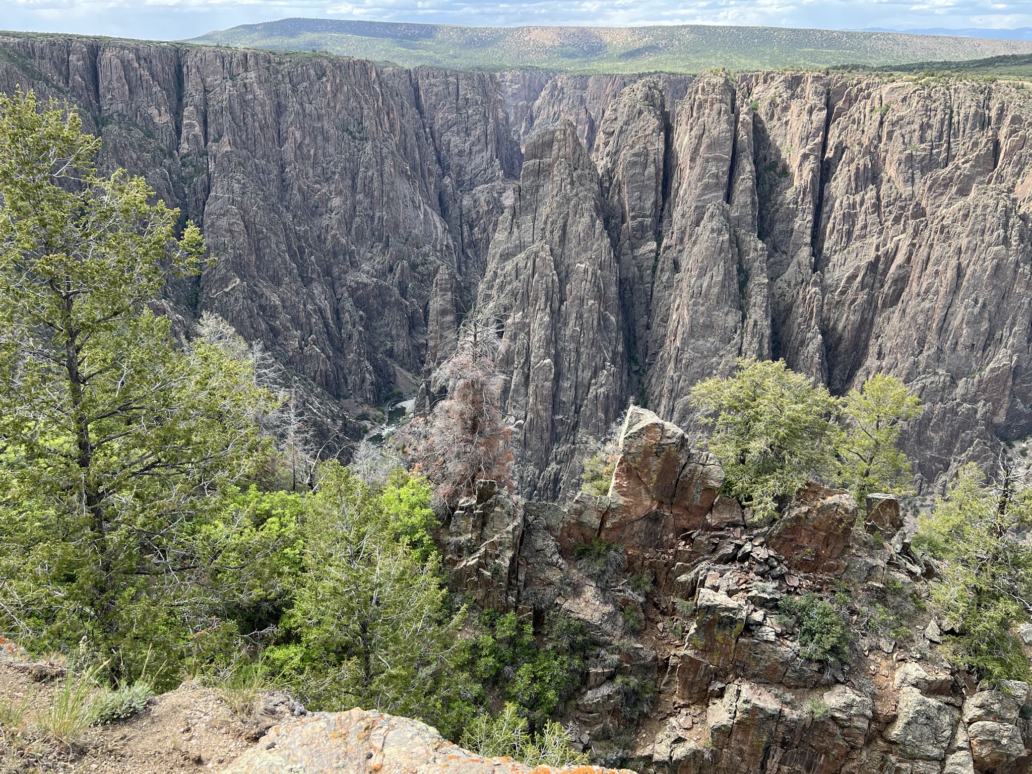 Canyon