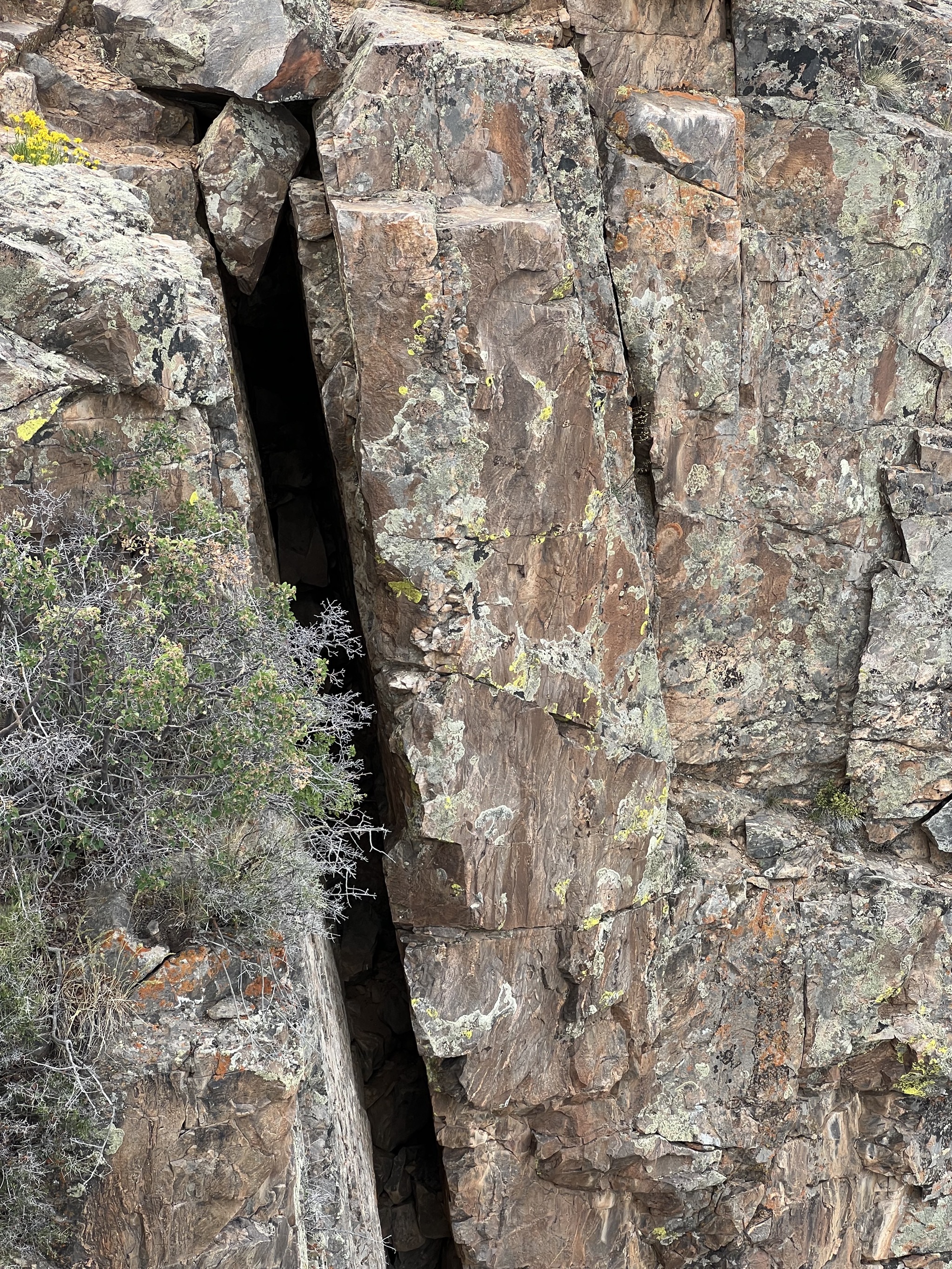 Canyon