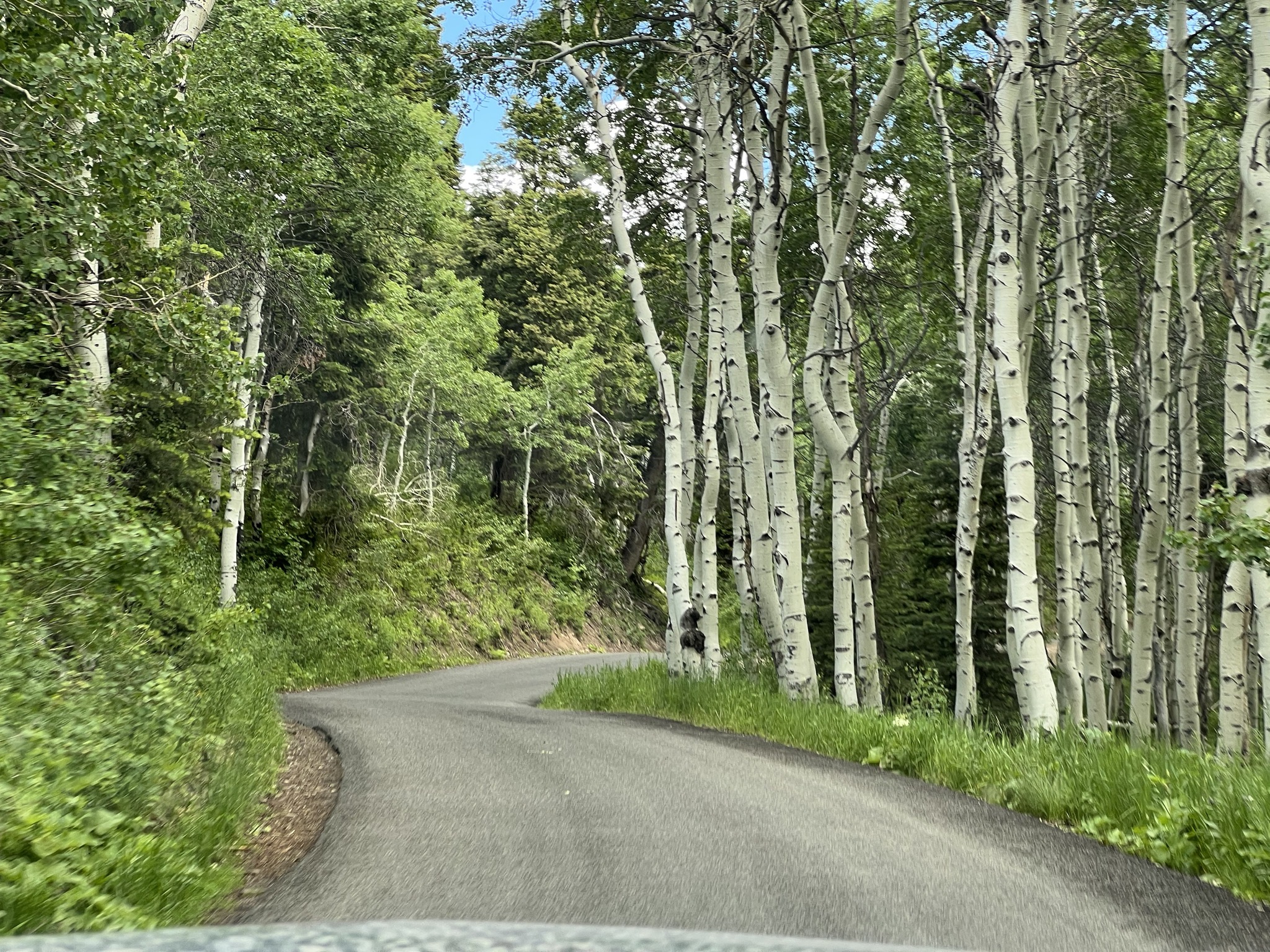 Alpine Loop scenic drive