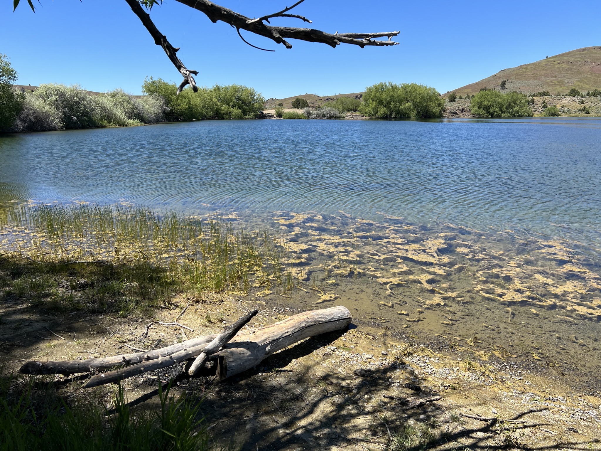 Lake