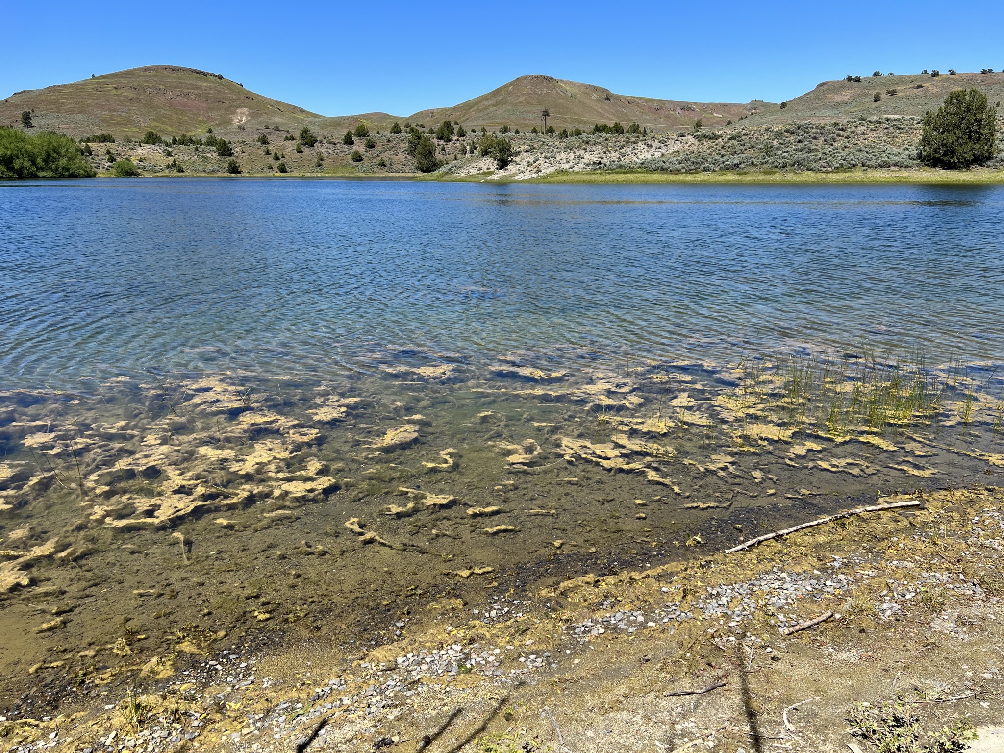 Lake
