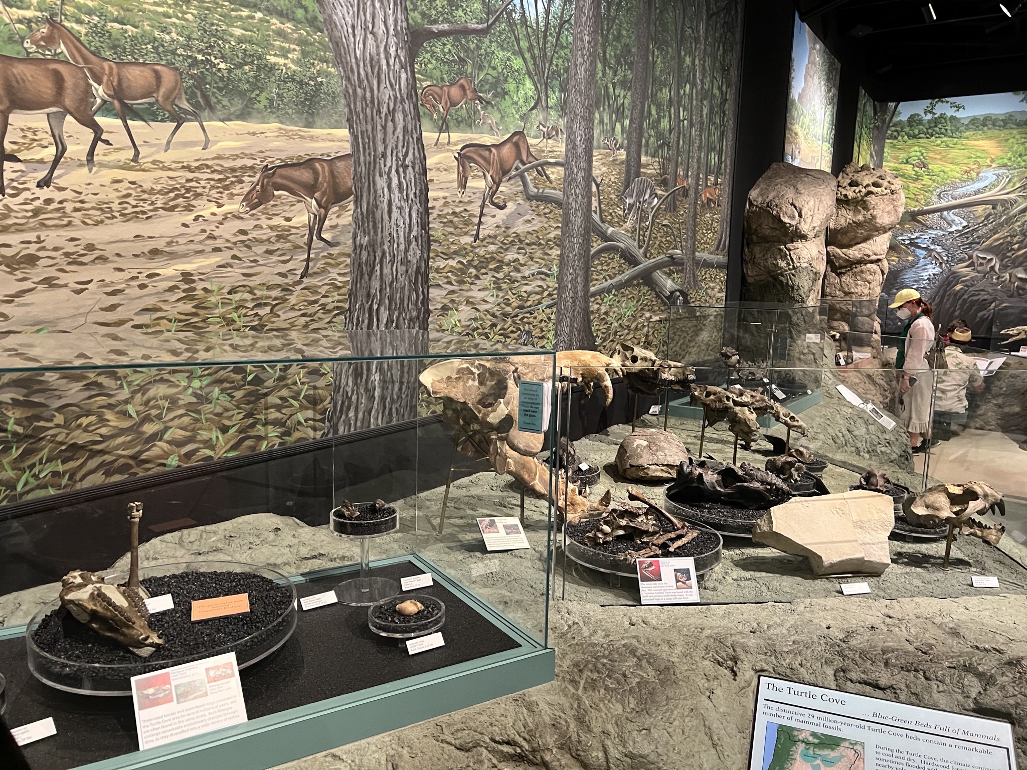 Visitor center