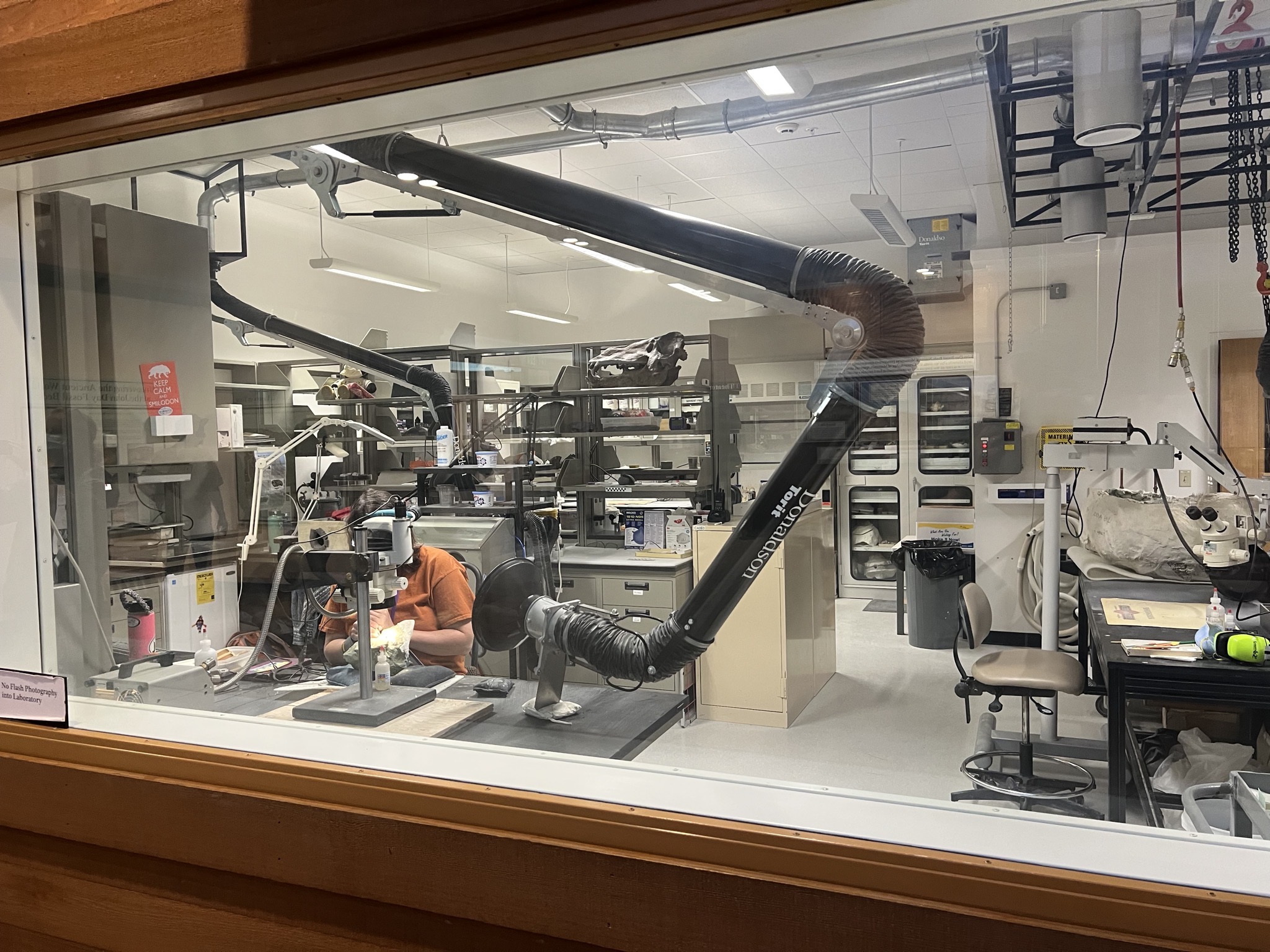 Lab