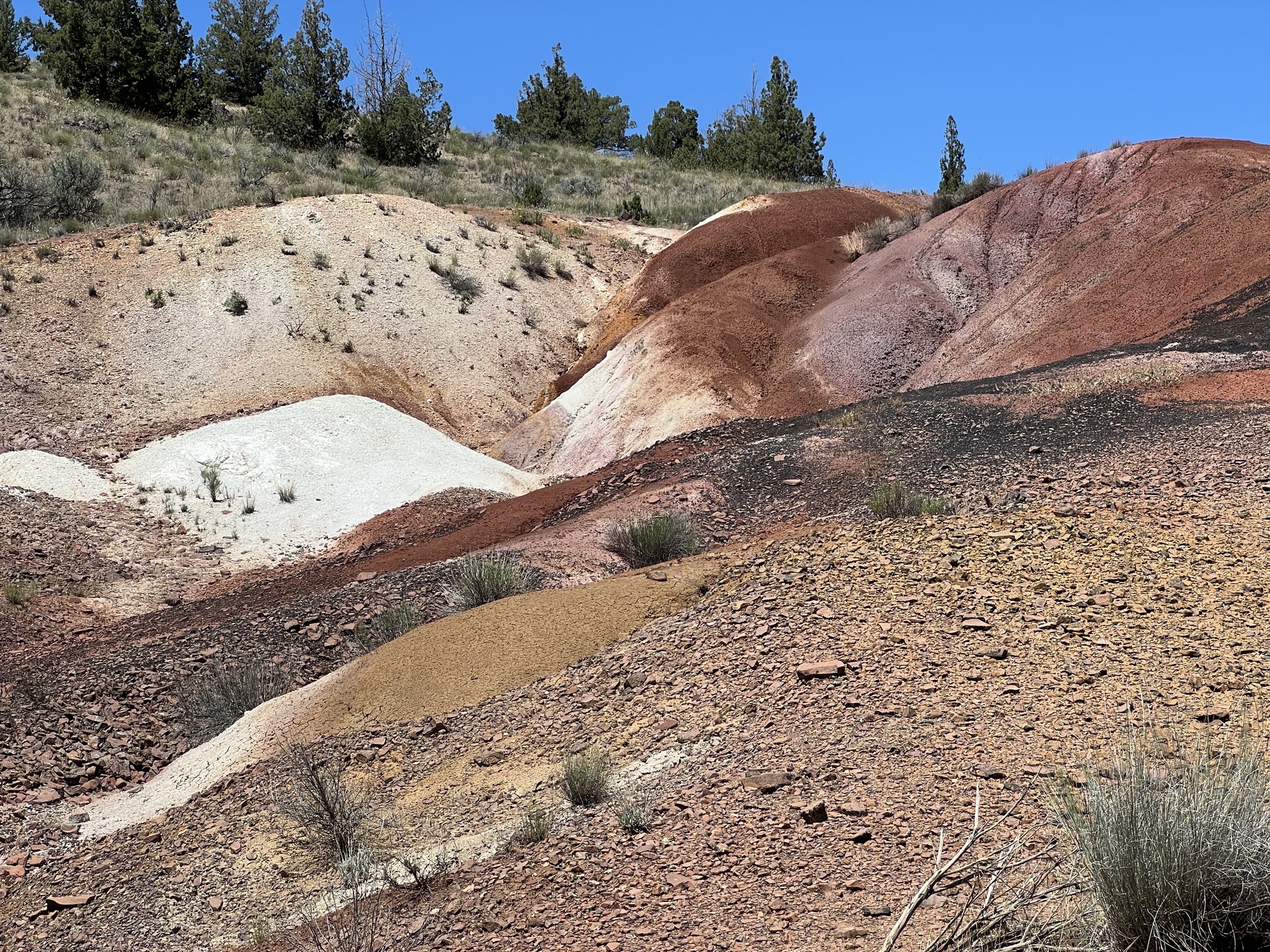 Painted hills