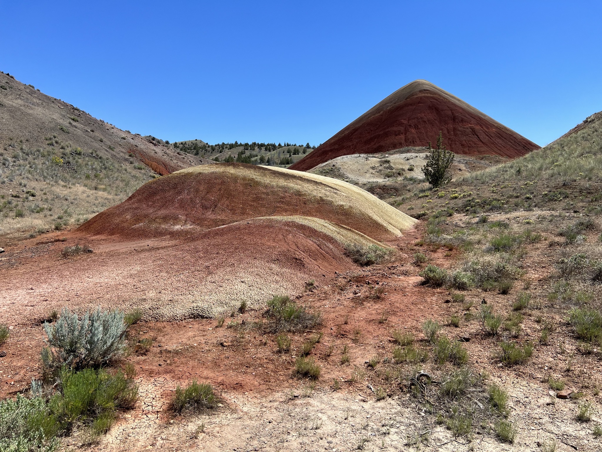 Painted hills