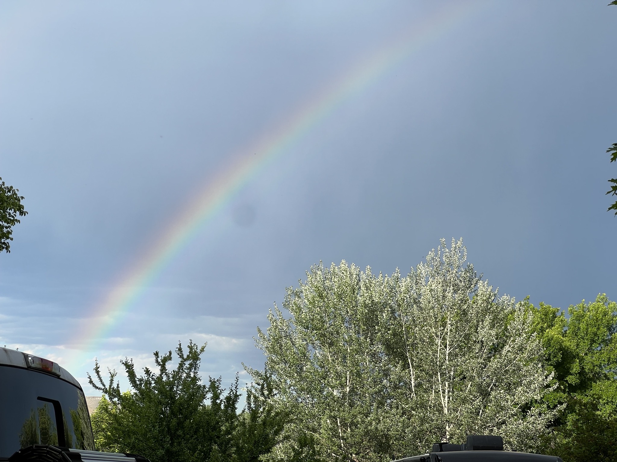 Rainbow