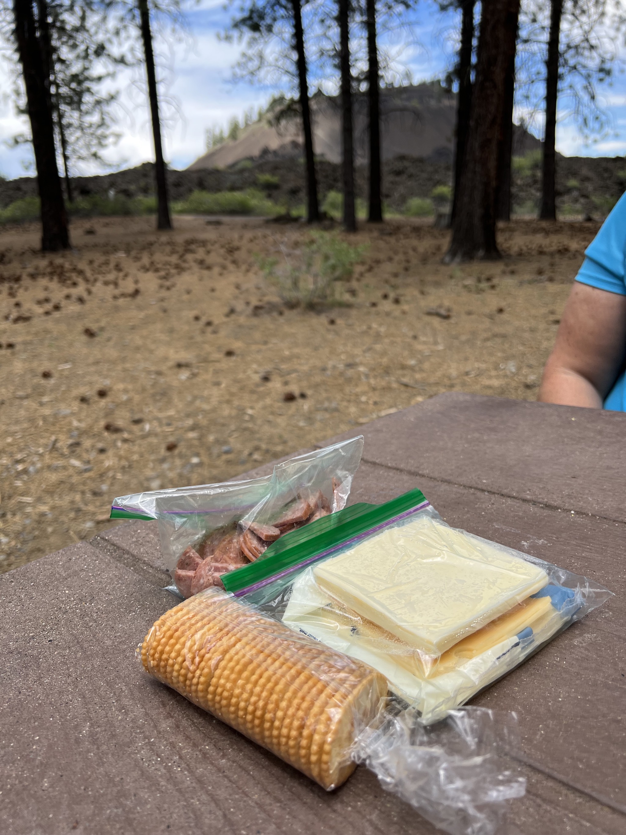 Picnic