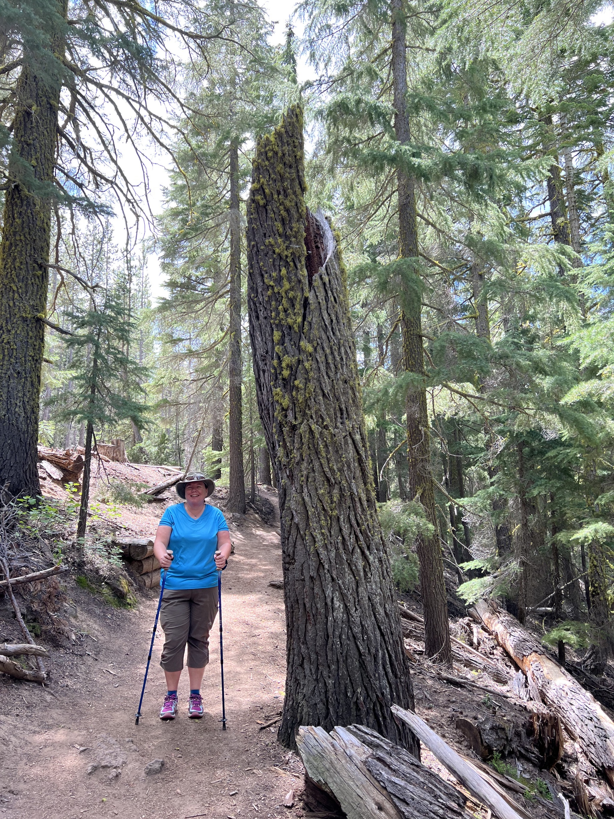 Paulina Falls hike