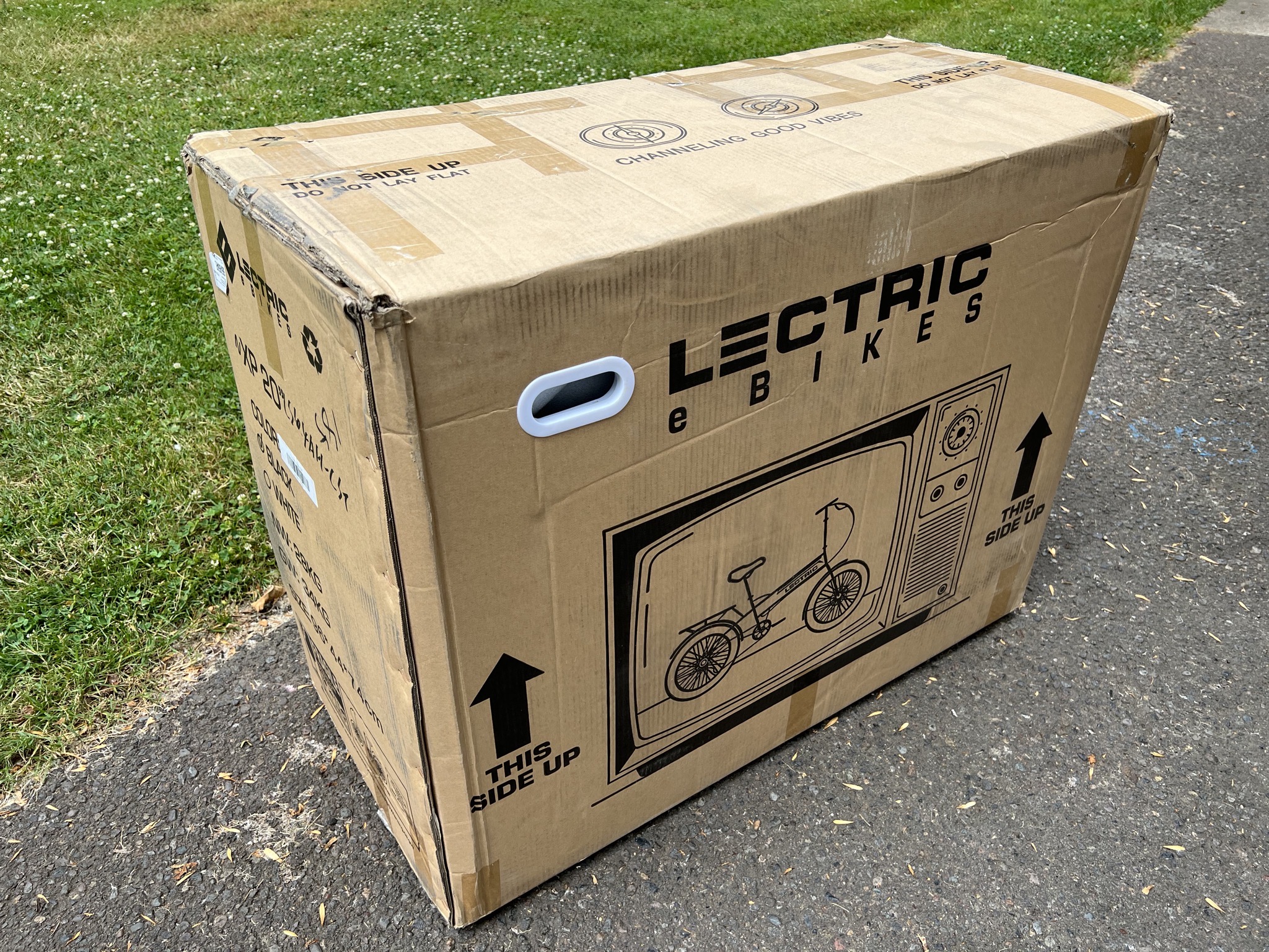 Carton