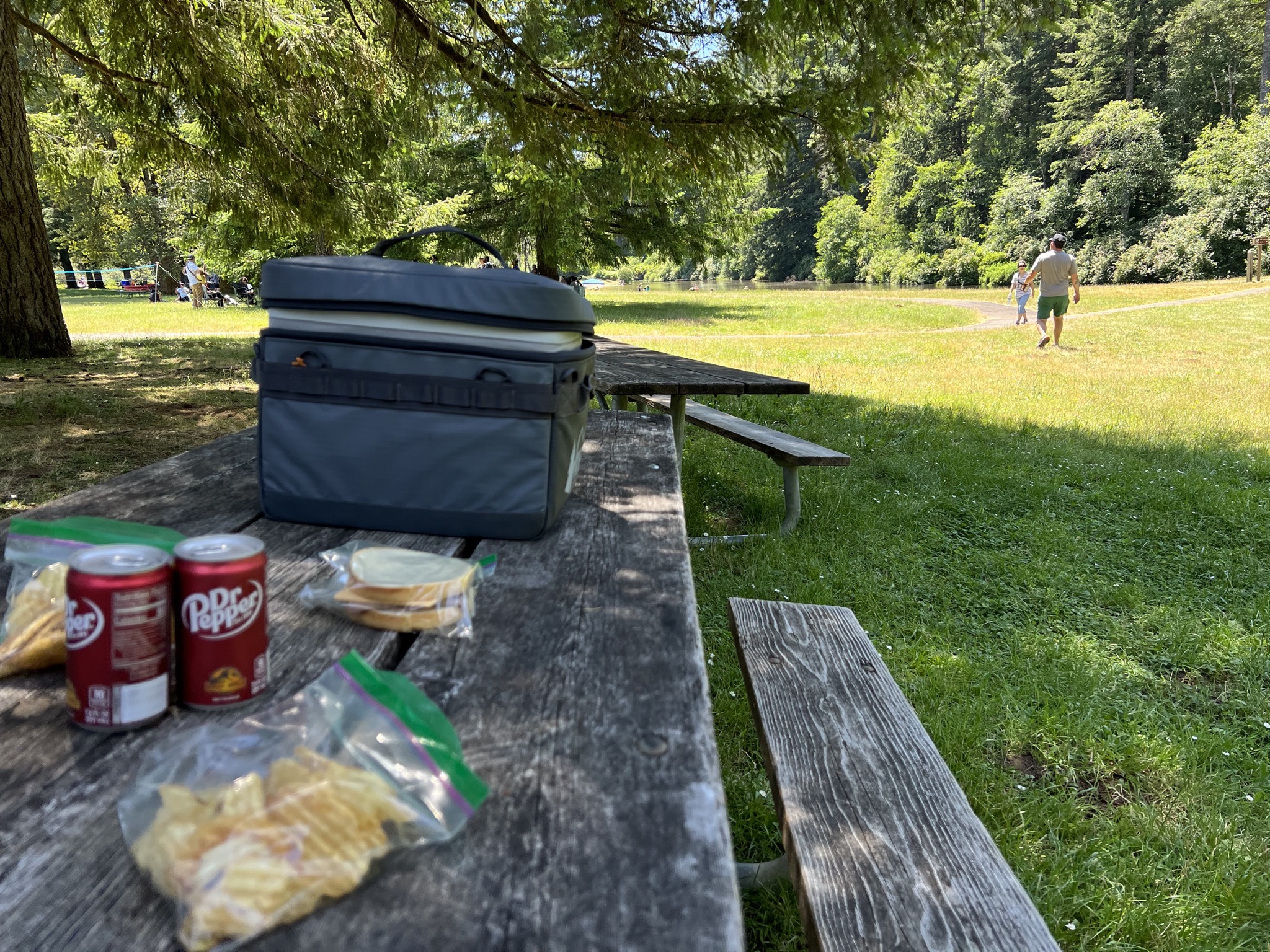Picnic