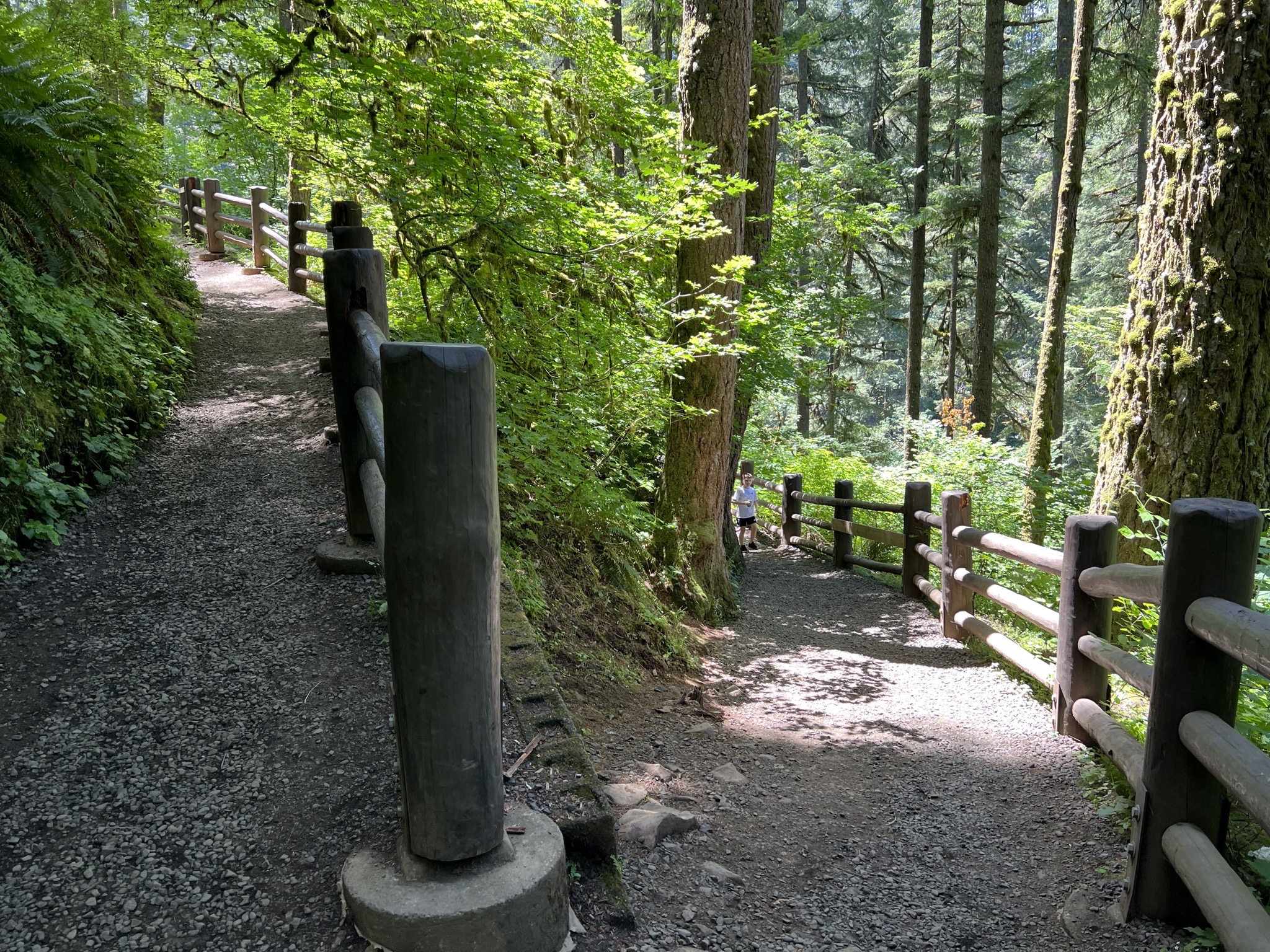 Path