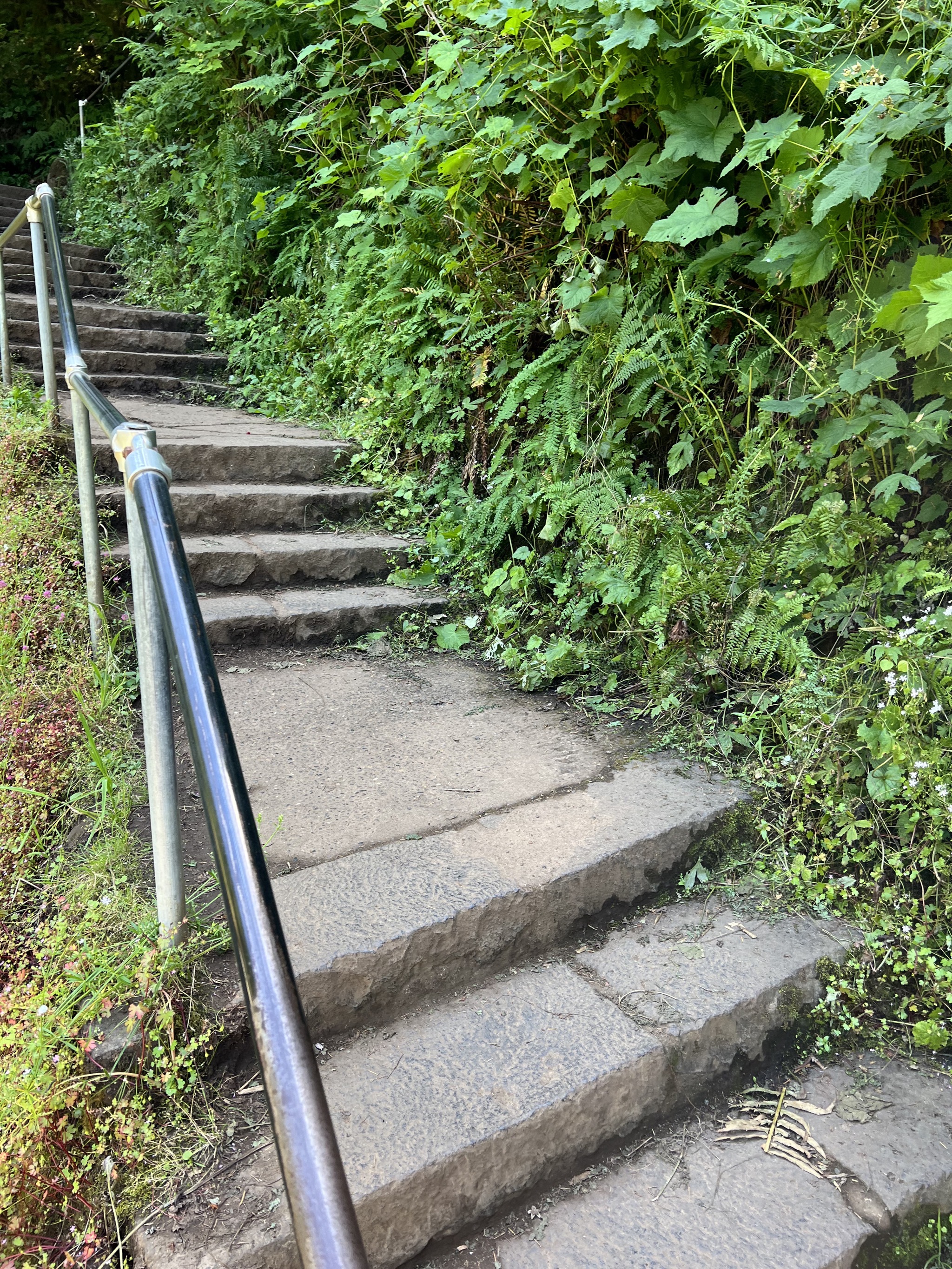 Steps