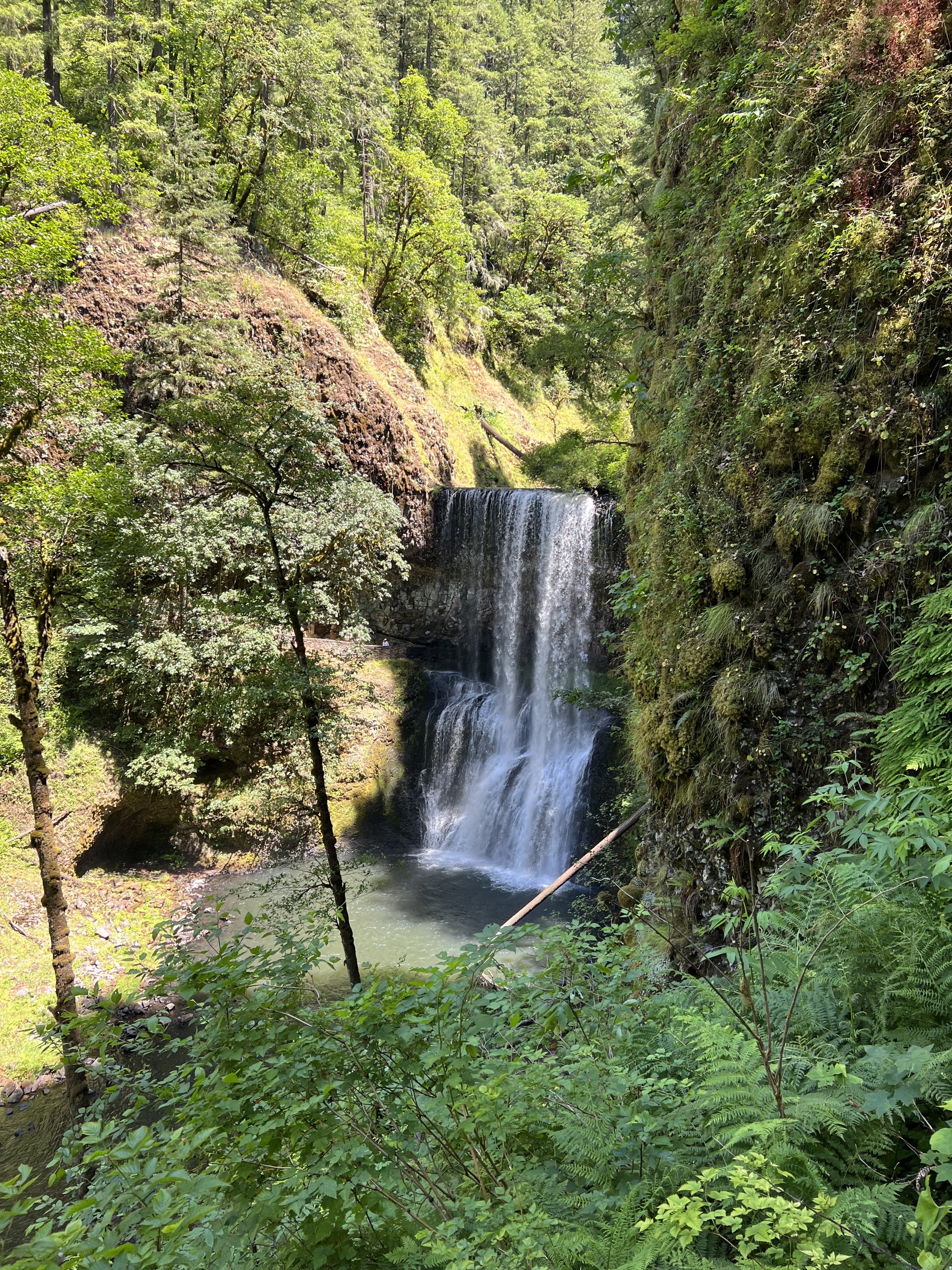 Lower South Falls