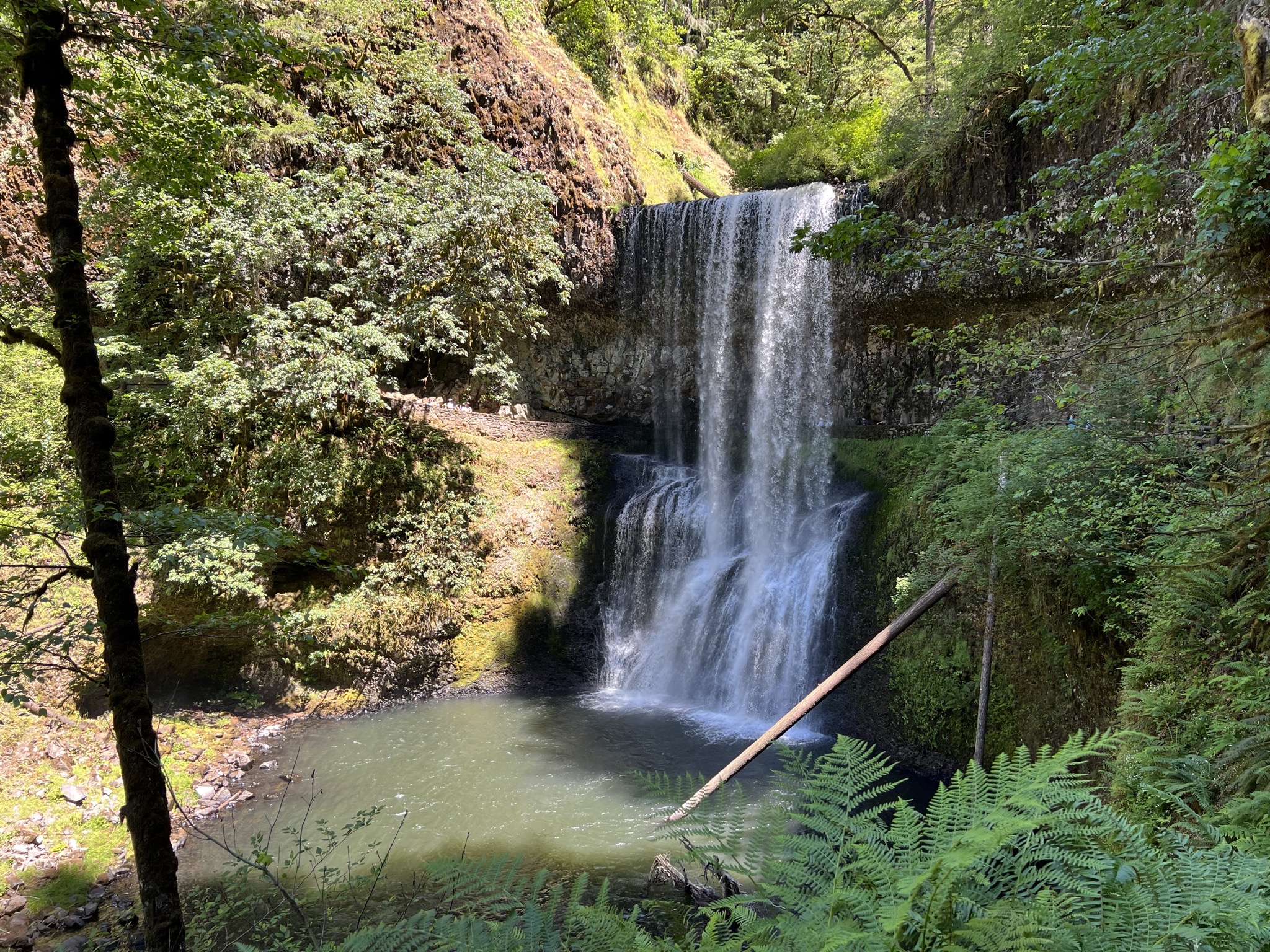Lower South Falls